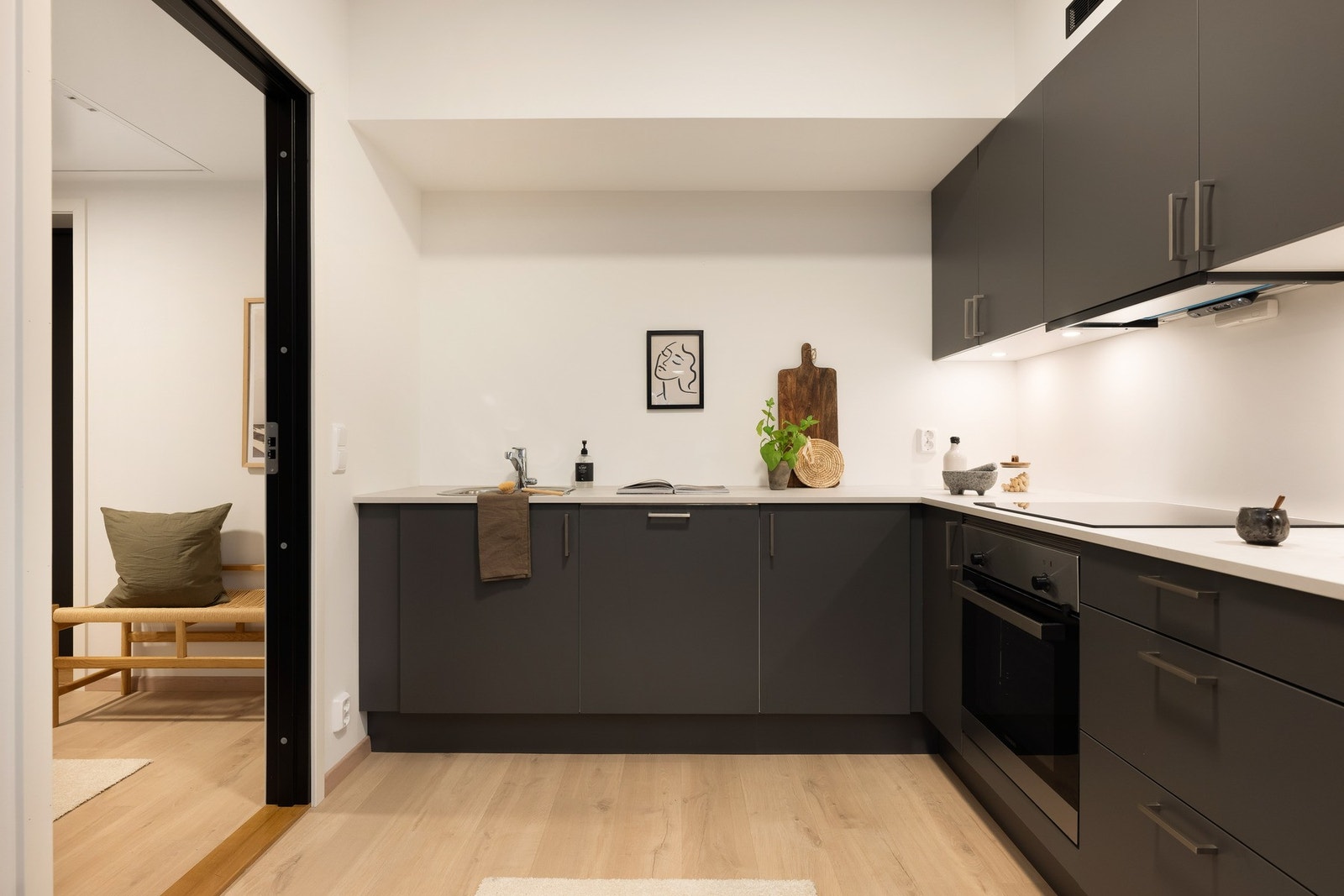 Av integrerte hvitevarer finner en induksjonsplatetopp, stekeovn, oppvaskmaskin, samt kjøl- og frys. Galleribilde