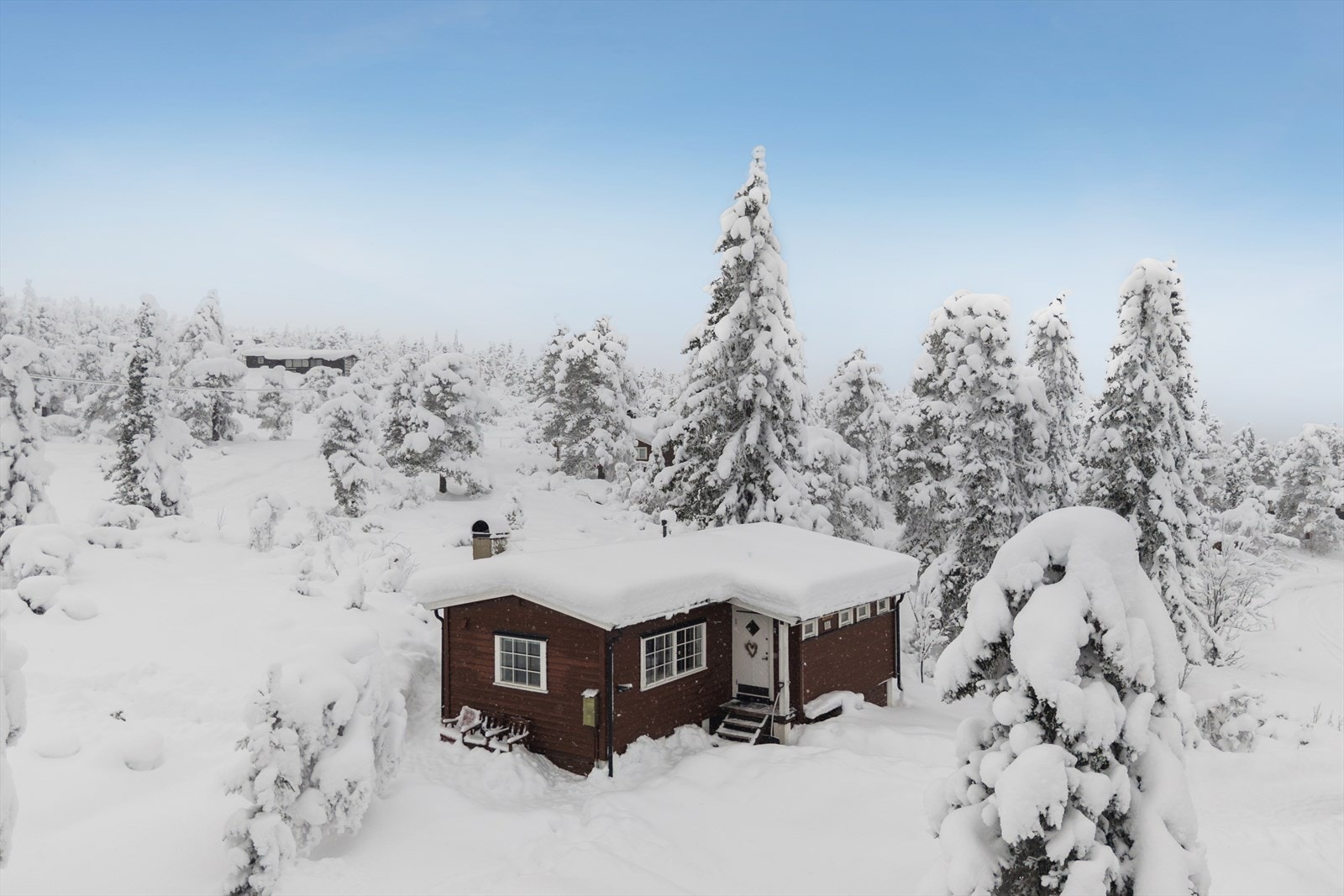 Velkommen til en hyggelig visning! Galleribilde