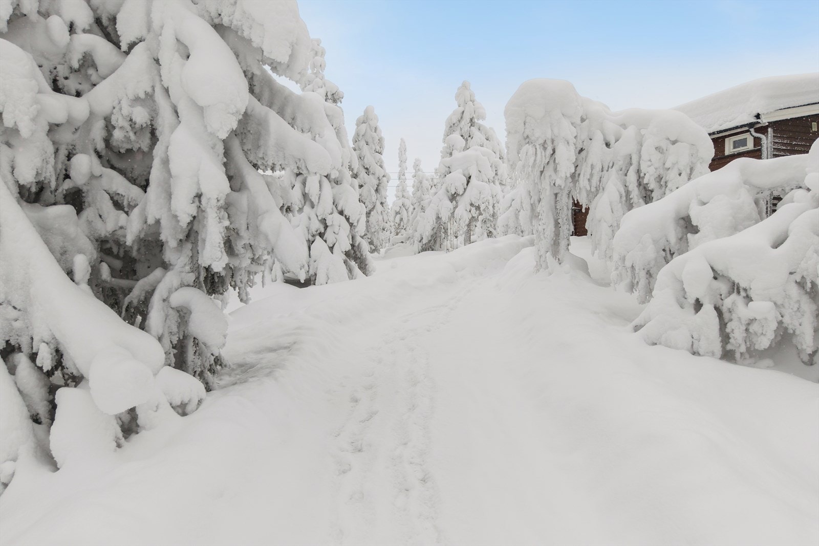 På vinteren kan du ta på deg skiene ved hytteveggen og gli rett inn i det velkjente løypenettet, nærmeste maskinpreparerte skiløype ligger bare noen få meter unna. Galleribilde