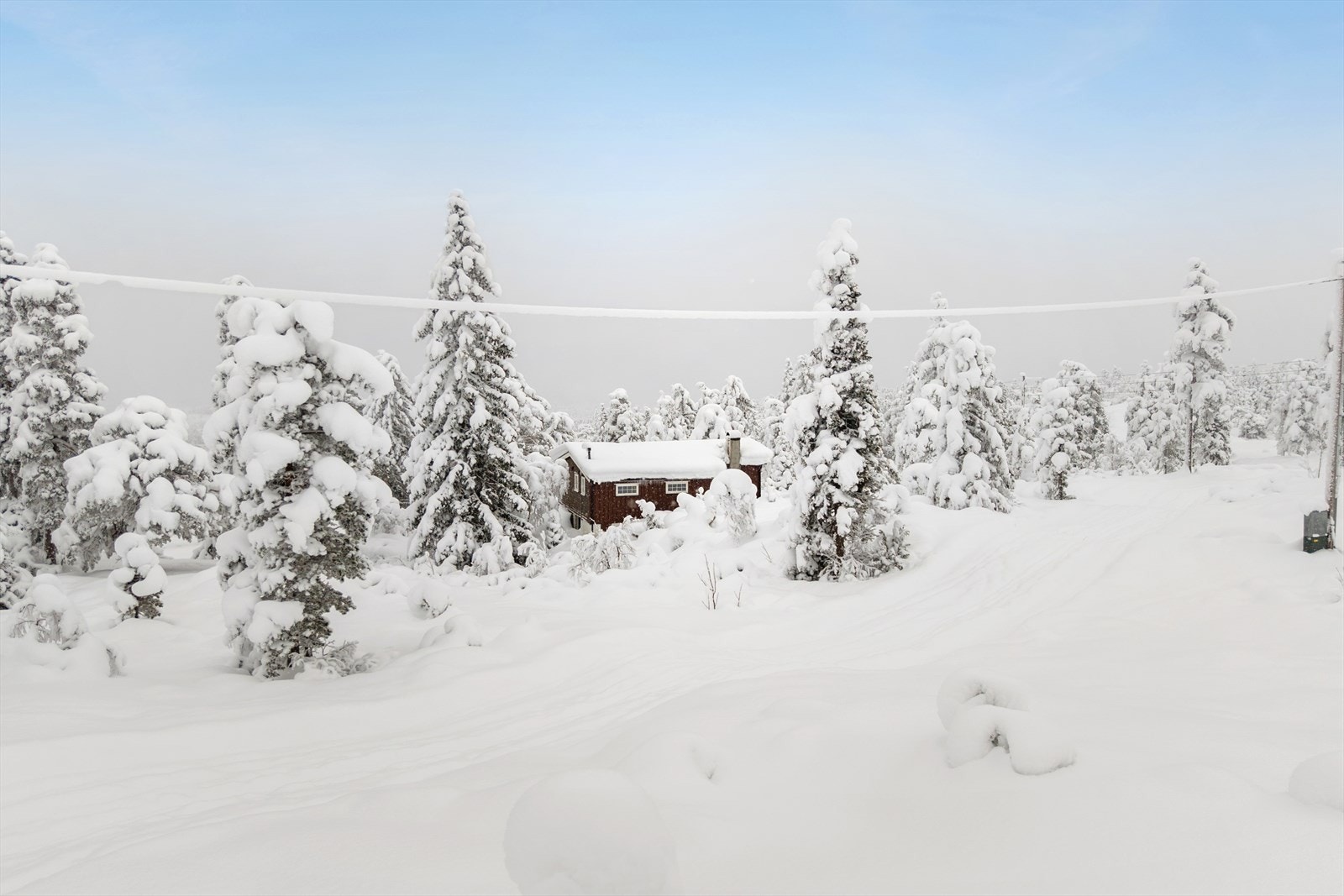 Strutåsen, et av Blefjells mest populære turmål, ligger kun ca. 3 km i lettgått terreng fra hytta. Galleribilde