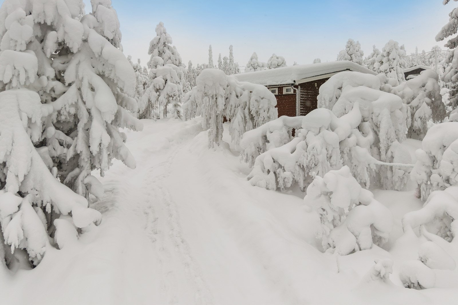 Adkomst til hytta via privat vei. Galleribilde