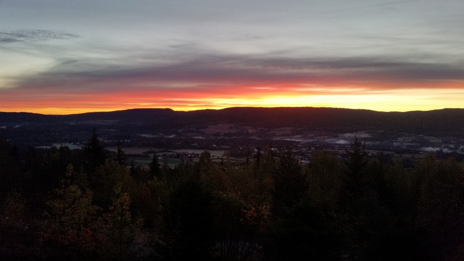 Selger bilder. Galleribilde