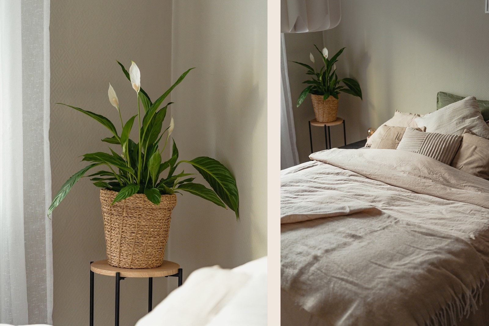 Collage-4.jpg Galleribilde