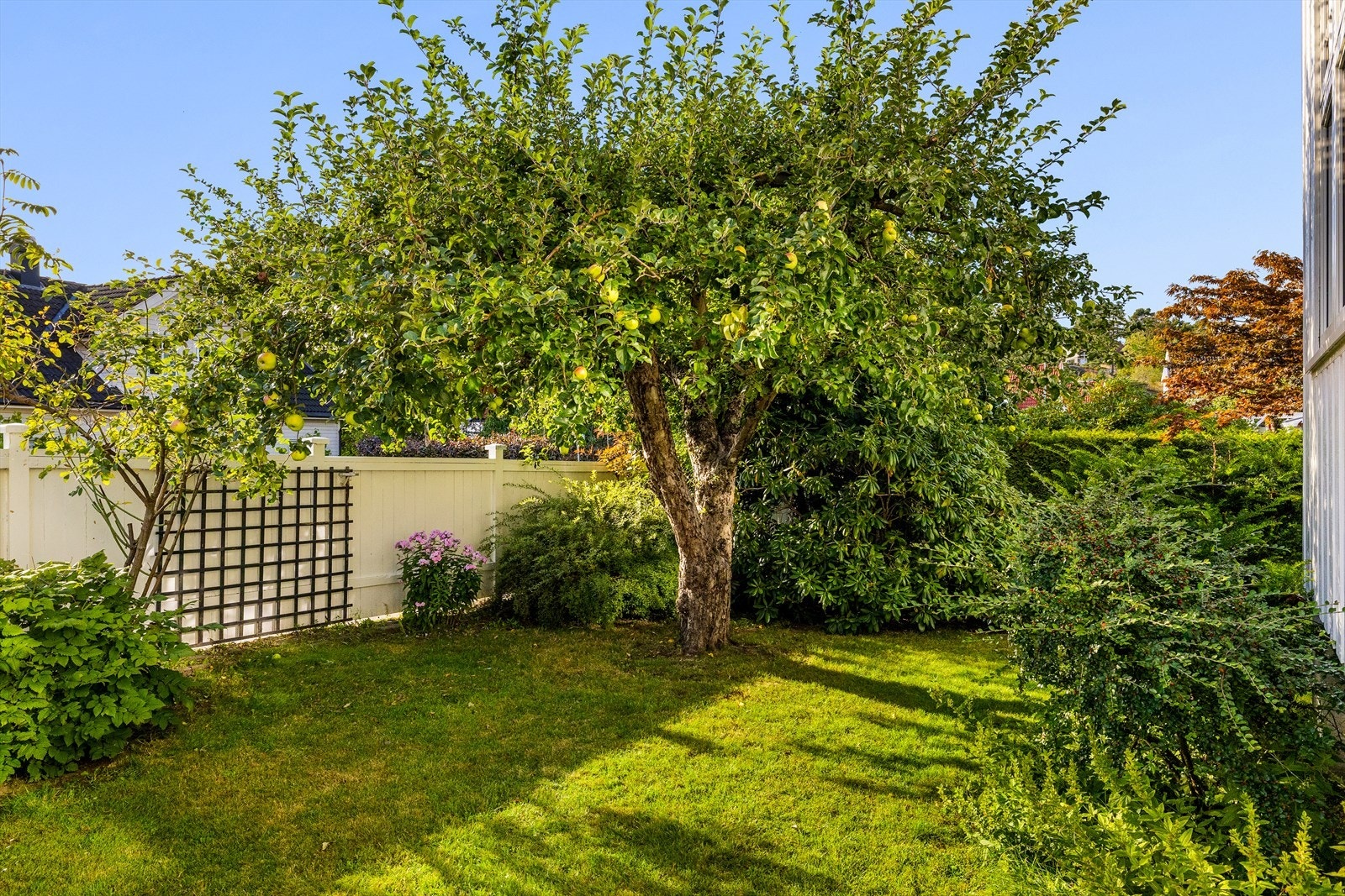 Den veletablerte hagen skaper en lun og privat ramme rundt boligen Galleribilde