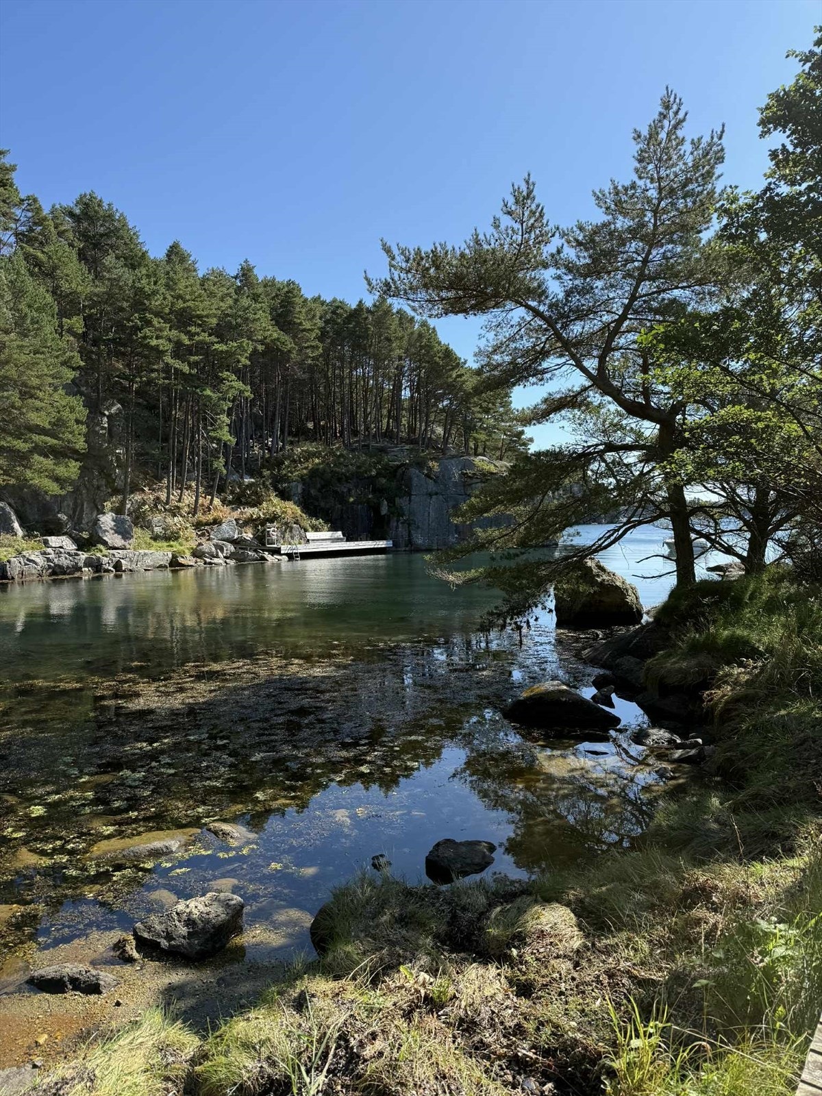 Gyar havn Galleribilde