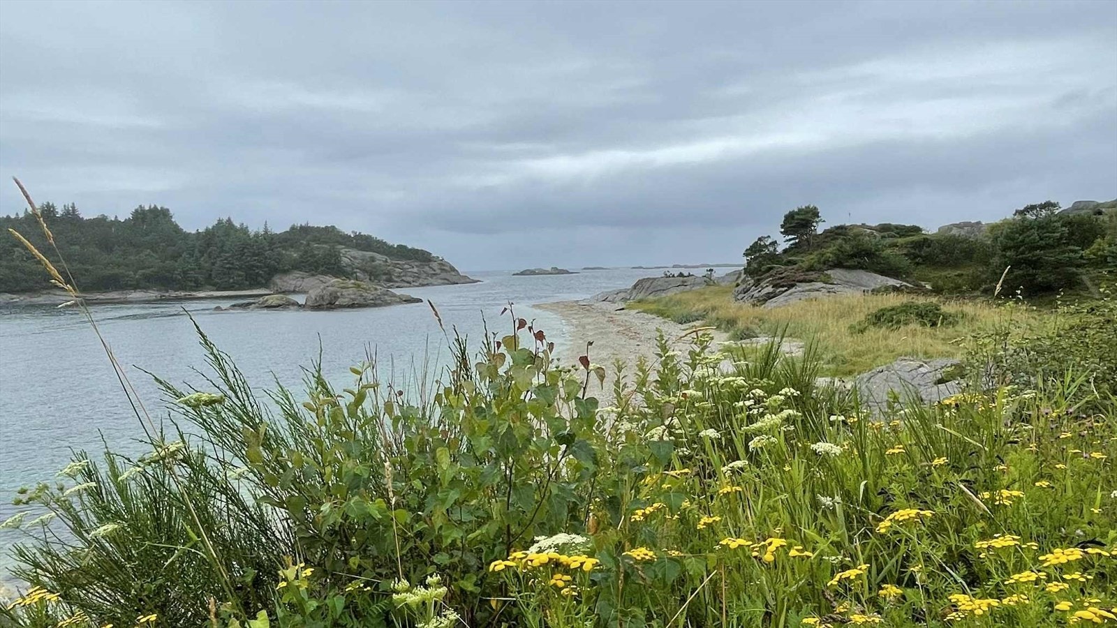 Stranden Galleribilde