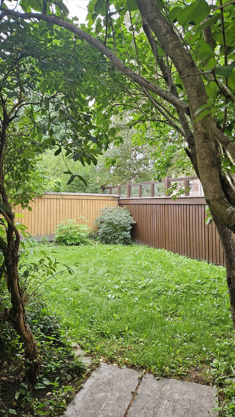 Flott grøntområde på borettslagets fellestomt Galleribilde