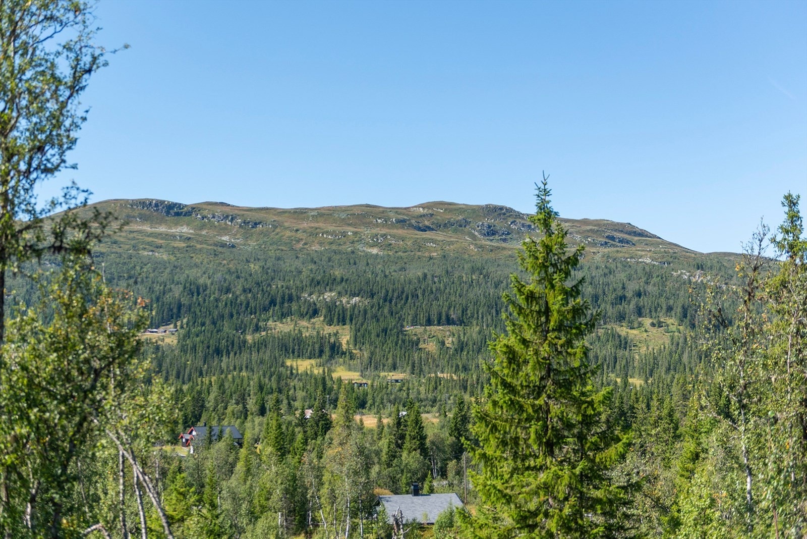 Utsikt fra hytta Galleribilde