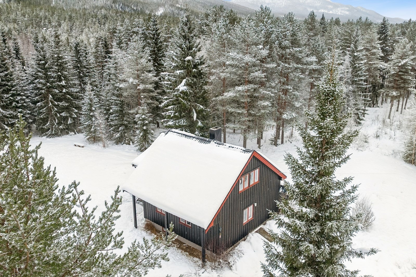 Her bor du tett på naturen med skogen som nærmeste nabo. Galleribilde