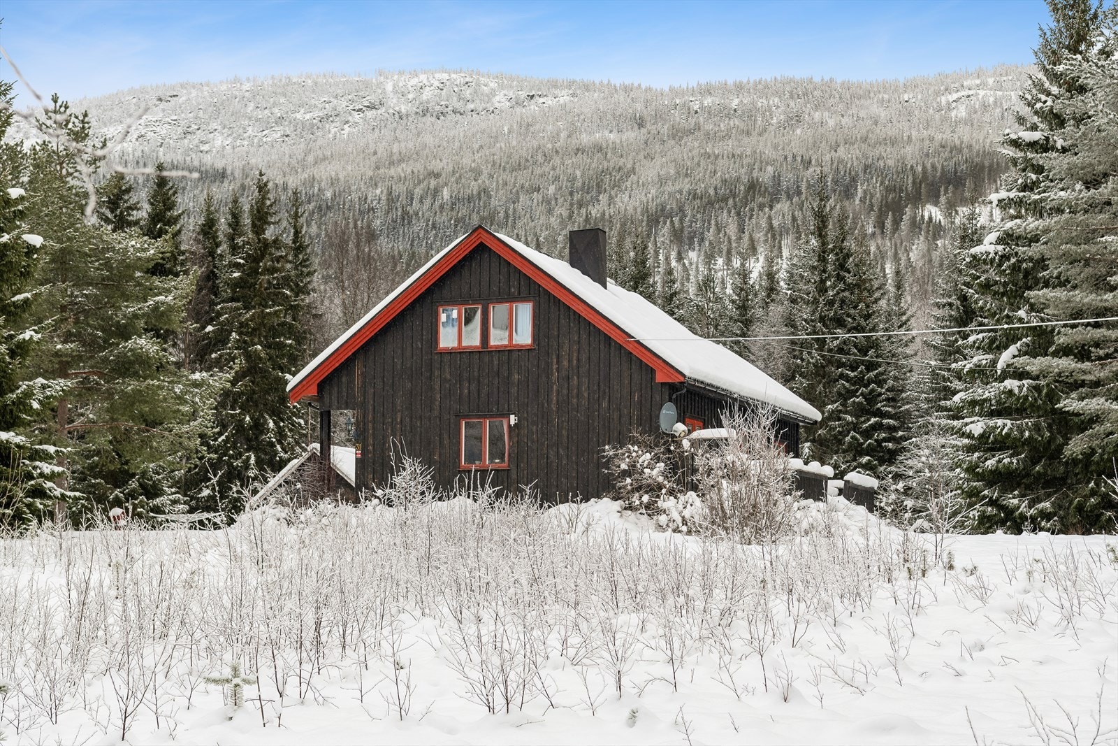 Eiendommen ligger vakkert til, omkranset av skog. Galleribilde