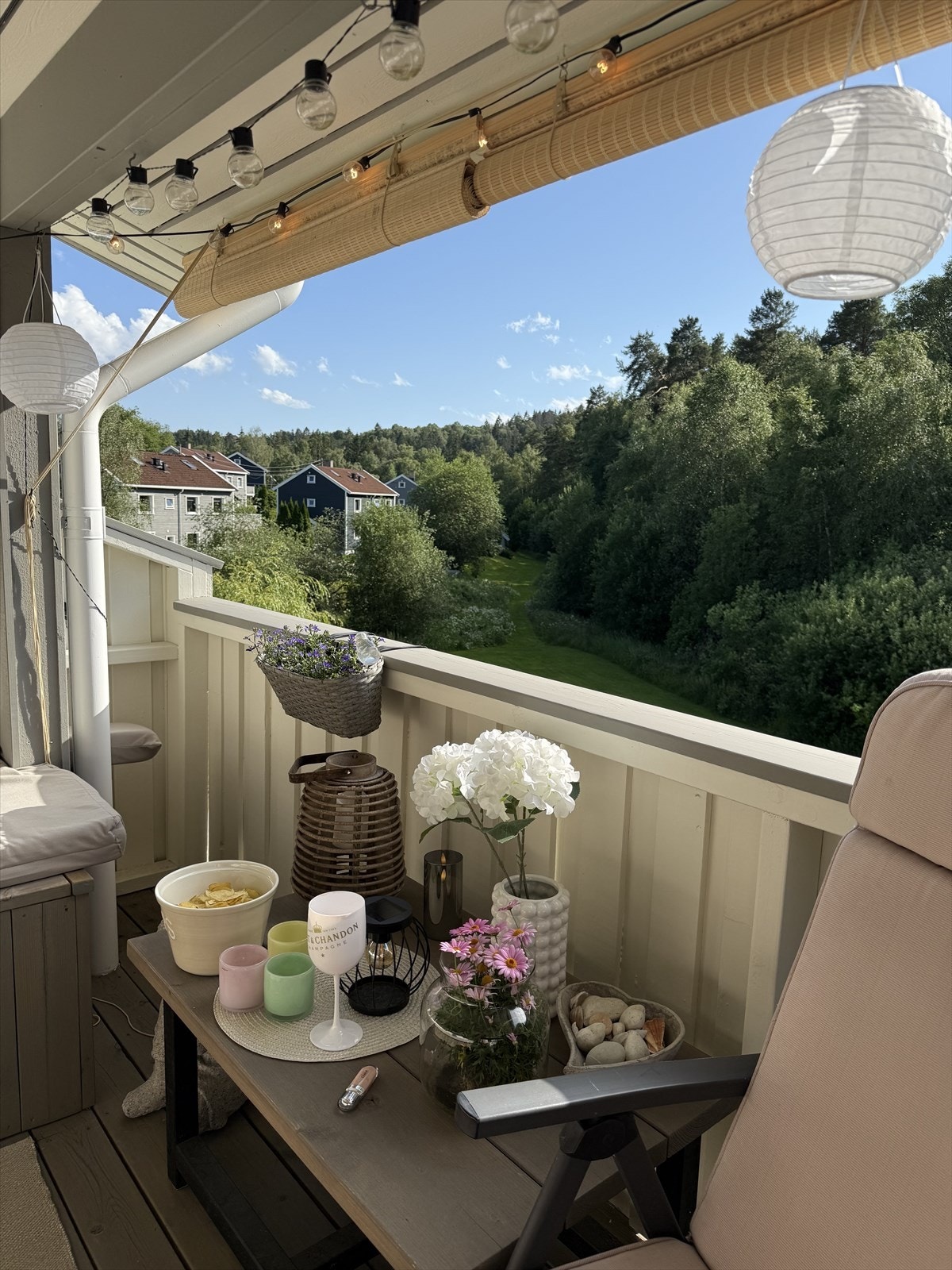 Selgers sommerbilde. Galleribilde