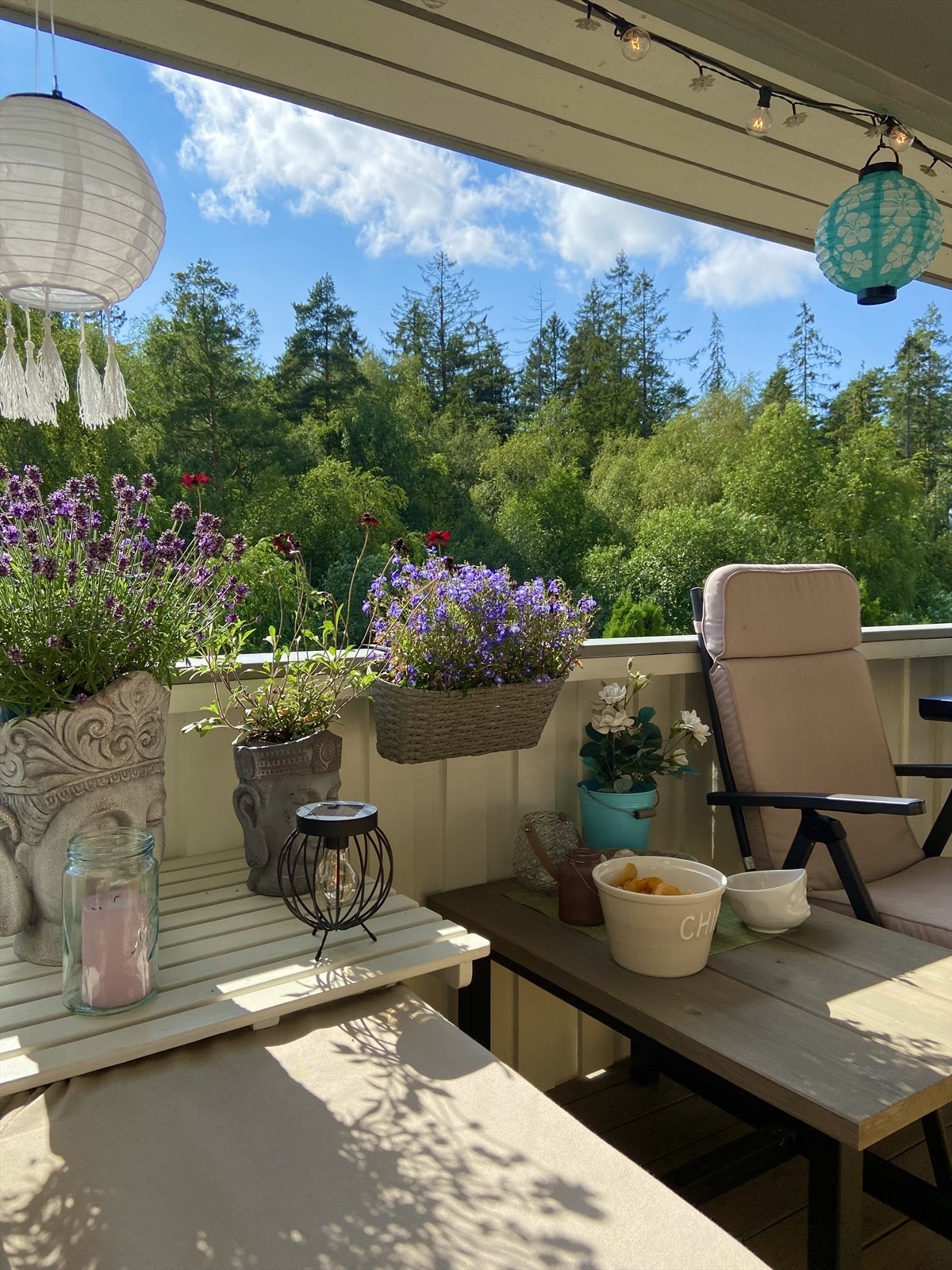 Selgers sommerbilde. Galleribilde