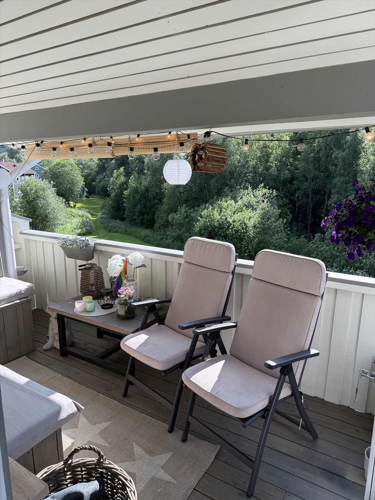 Selgers sommerbilde. Galleribilde