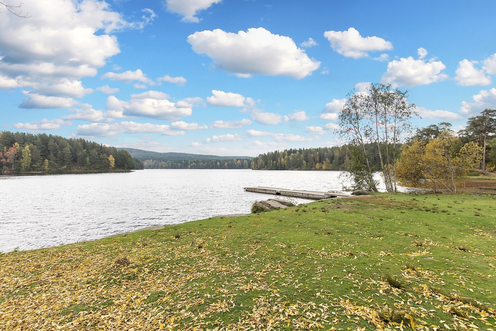 Områdebilde. Galleribilde