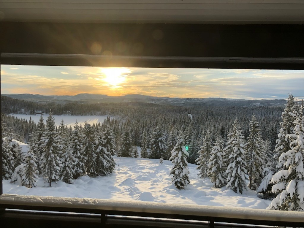 Selgers bilder. Galleribilde