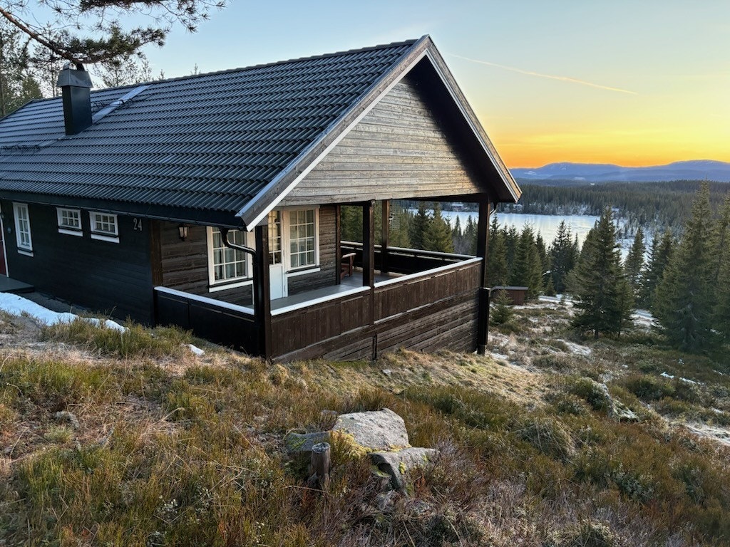 Selgers bilde. Galleribilde