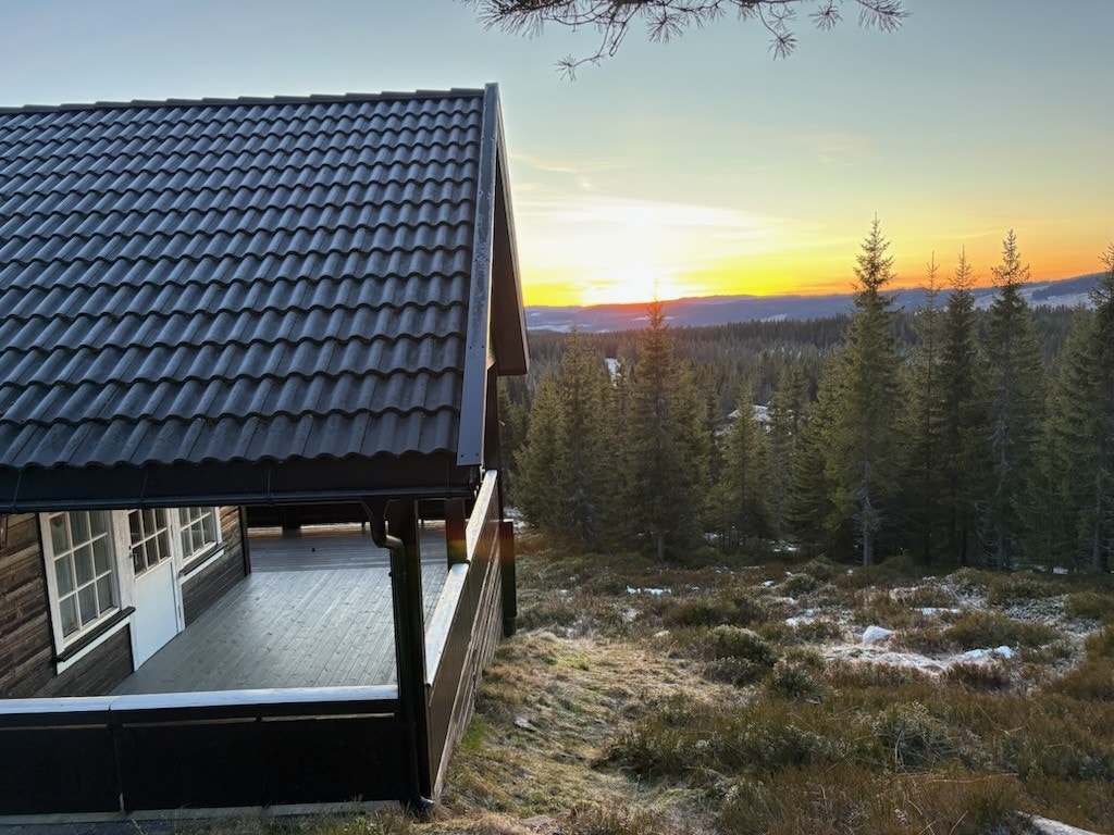 Selgers bilde. Galleribilde