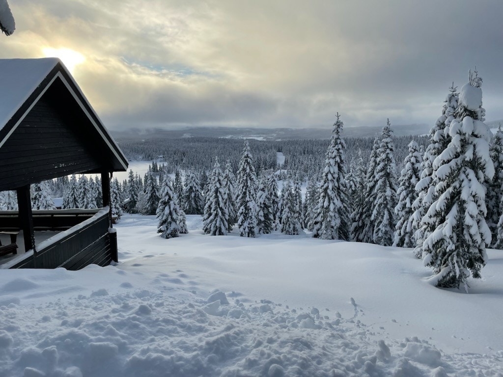 Selgers bilde. Galleribilde