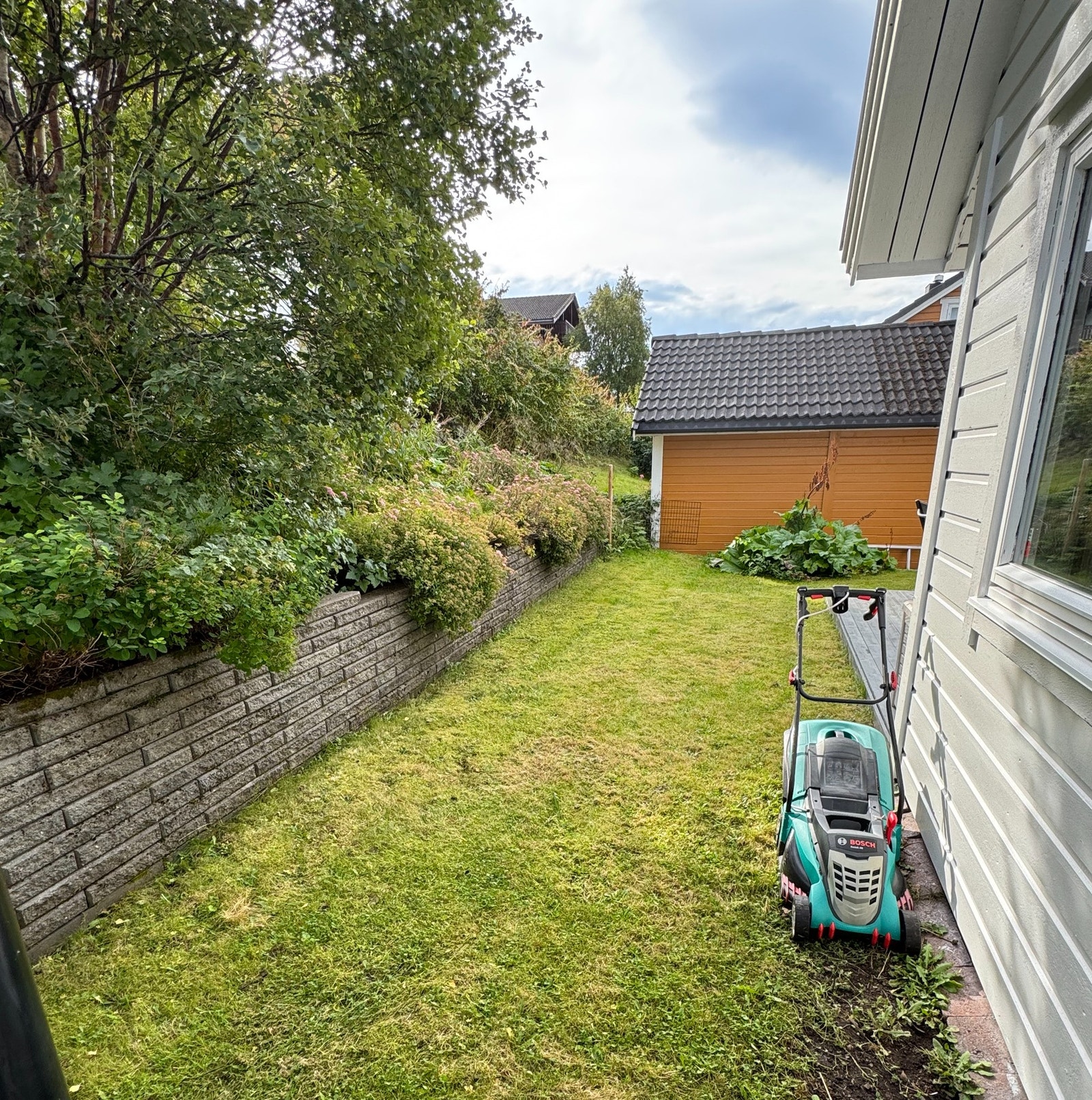 Privat sommerbilde. Galleribilde