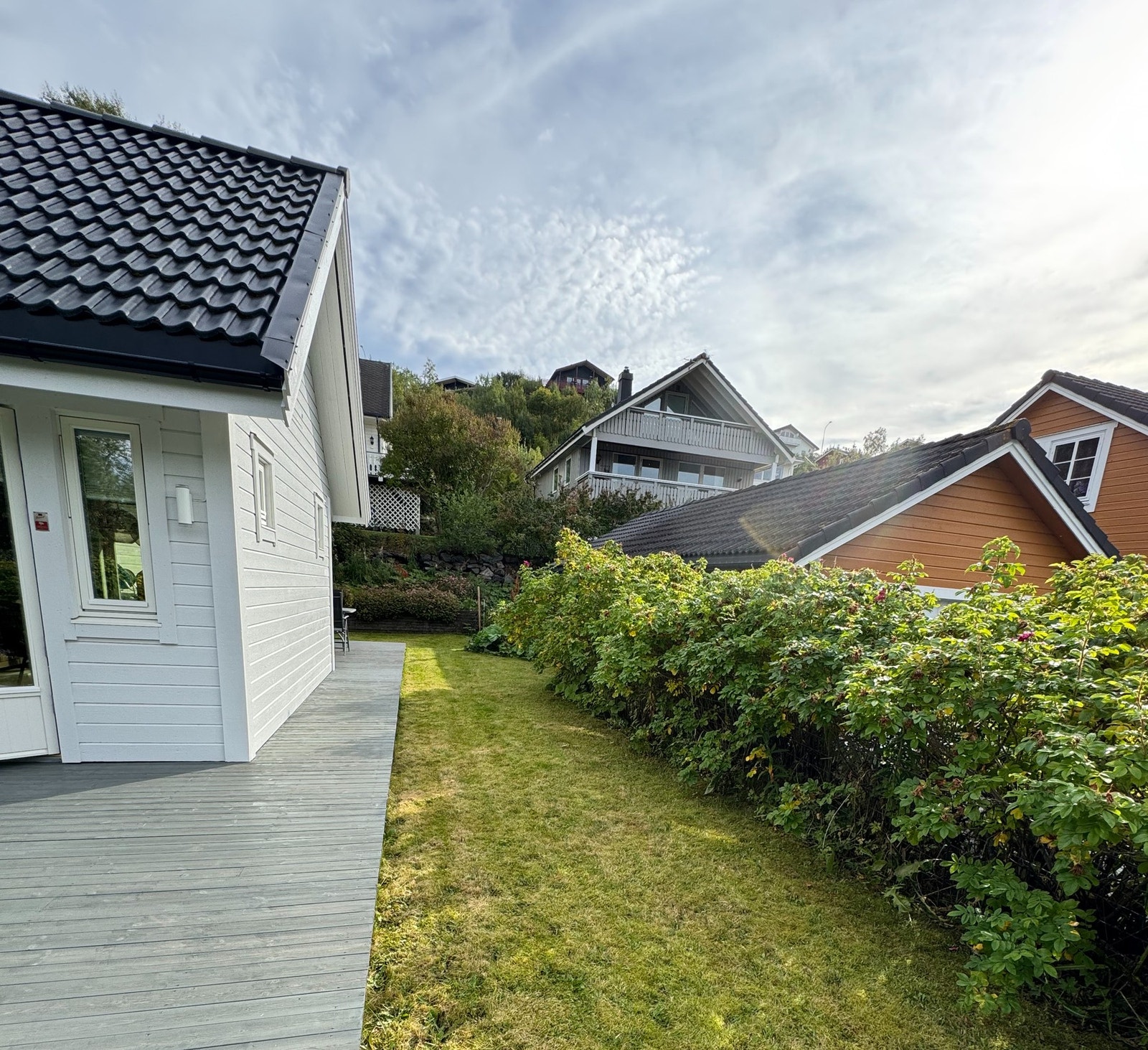 Selgers egne sommerbilder. Galleribilde