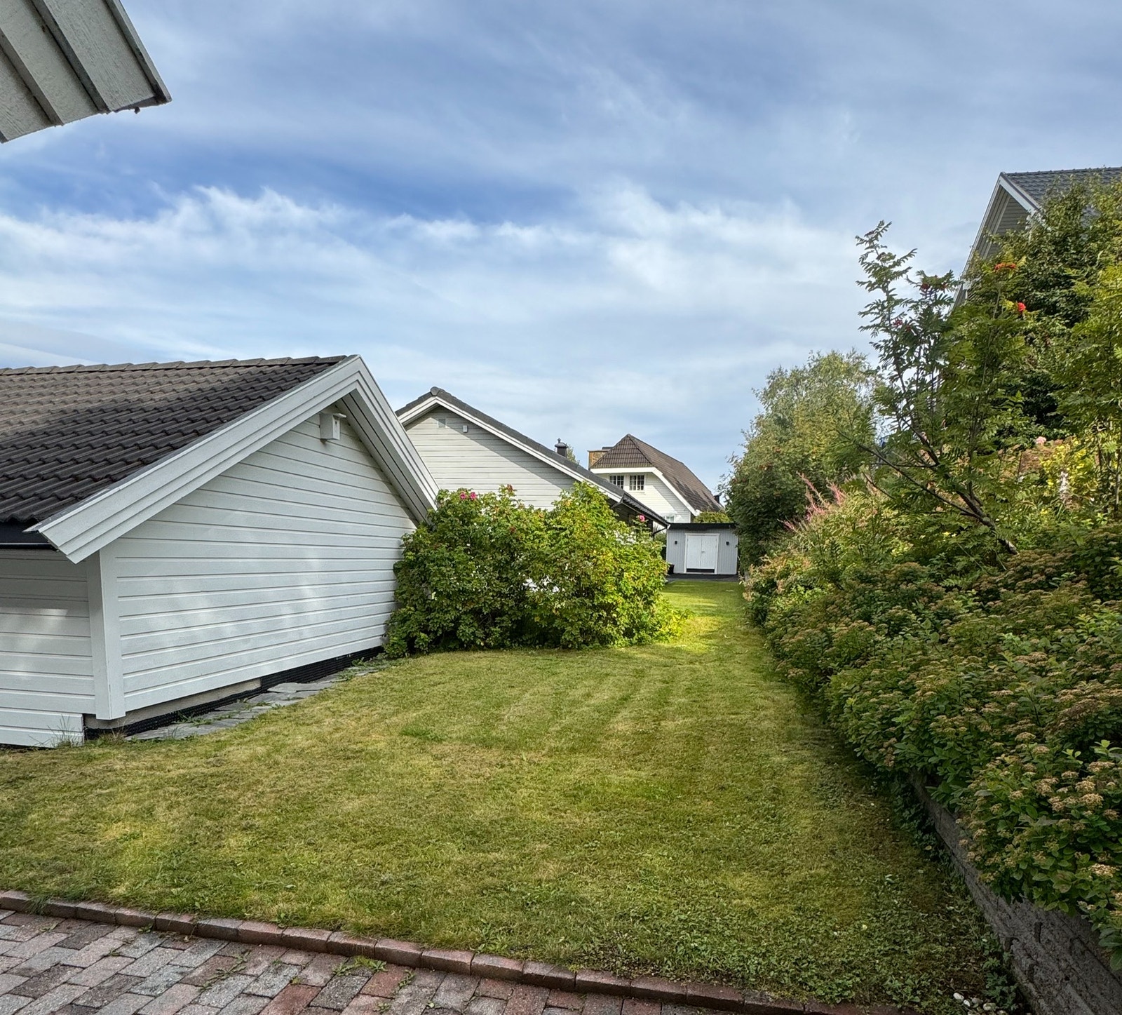 Selgers egne sommerbilder. Galleribilde