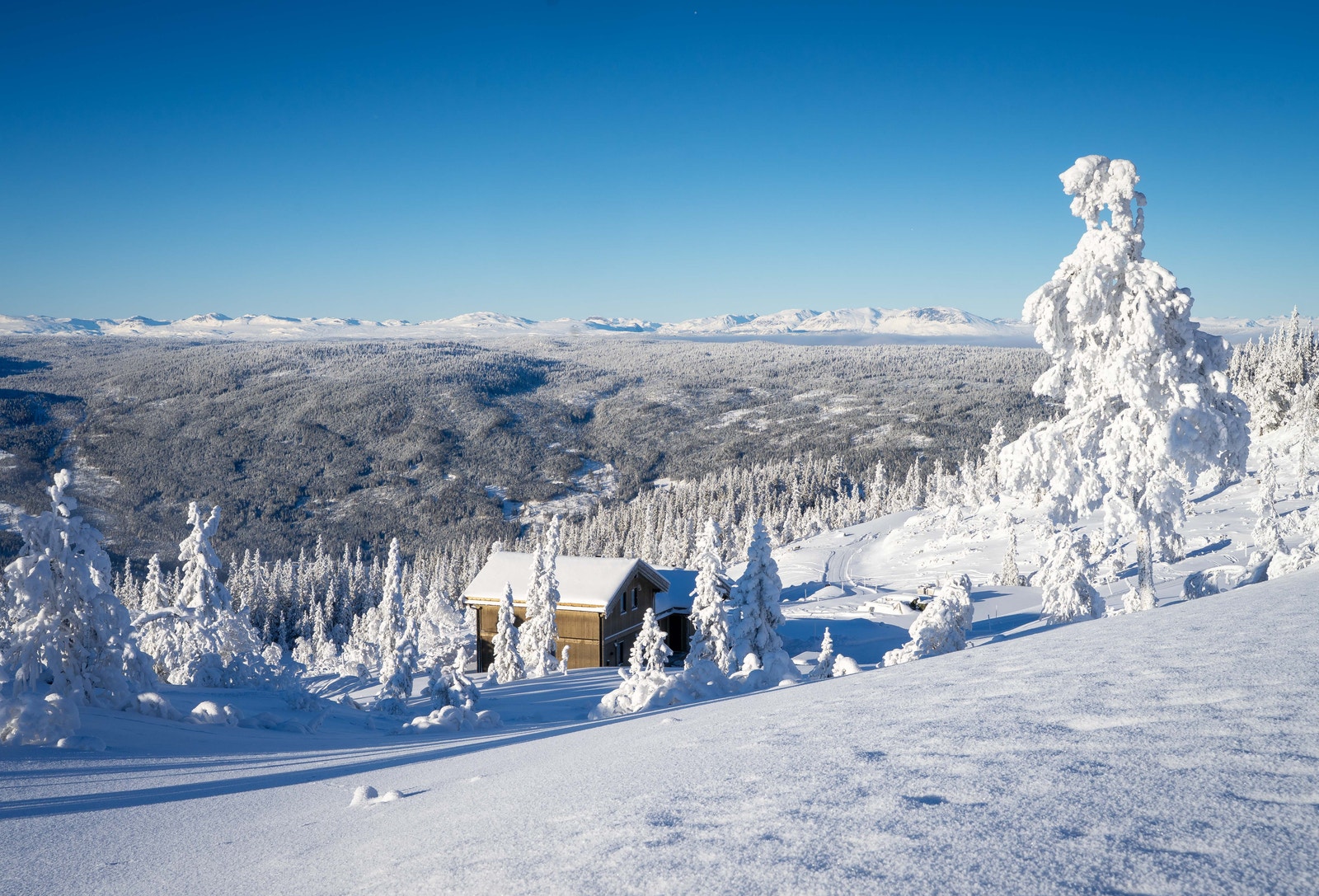 Utsikt fra tomt 18. Hytte bygget på tomt 31 ses på bildet. Galleribilde