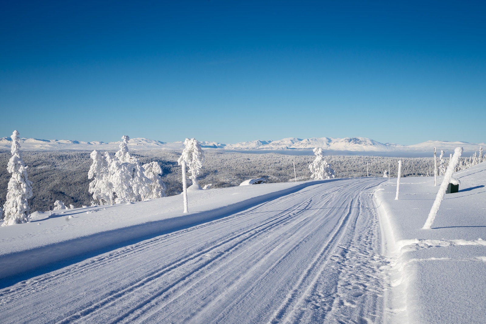 Veien inn til Seterfeltet Galleribilde