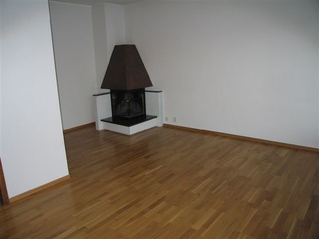 Peis i stuen Galleribilde