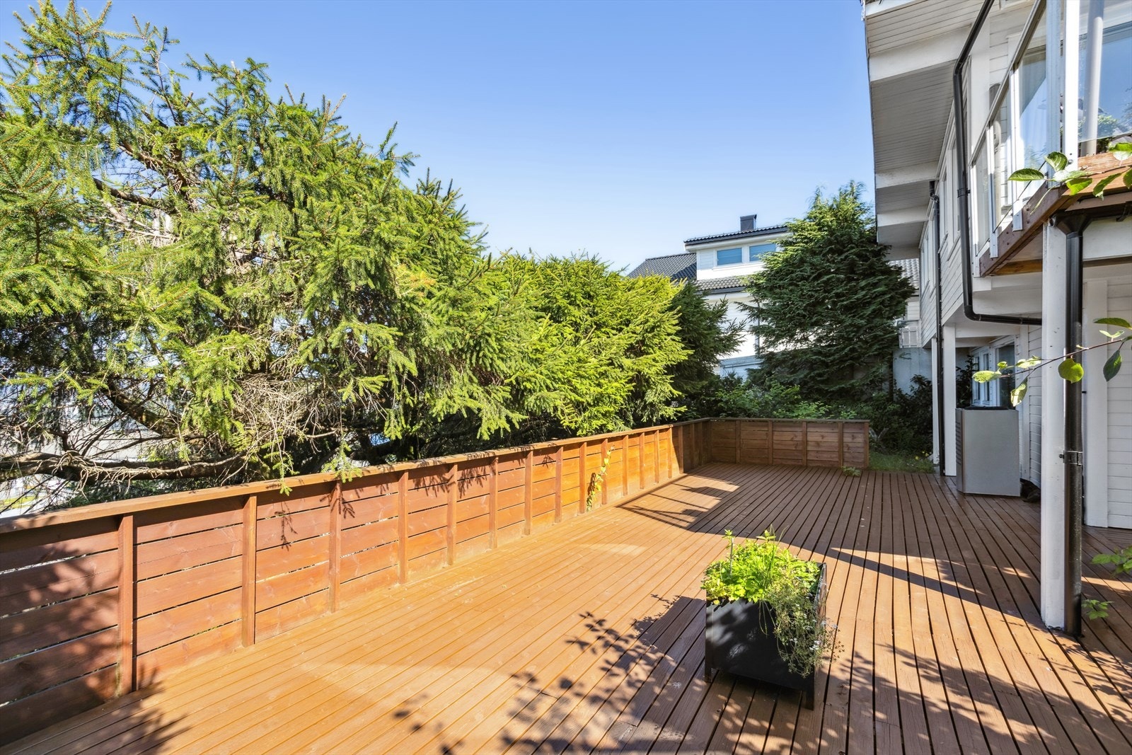 Flere_bilder Galleribilde