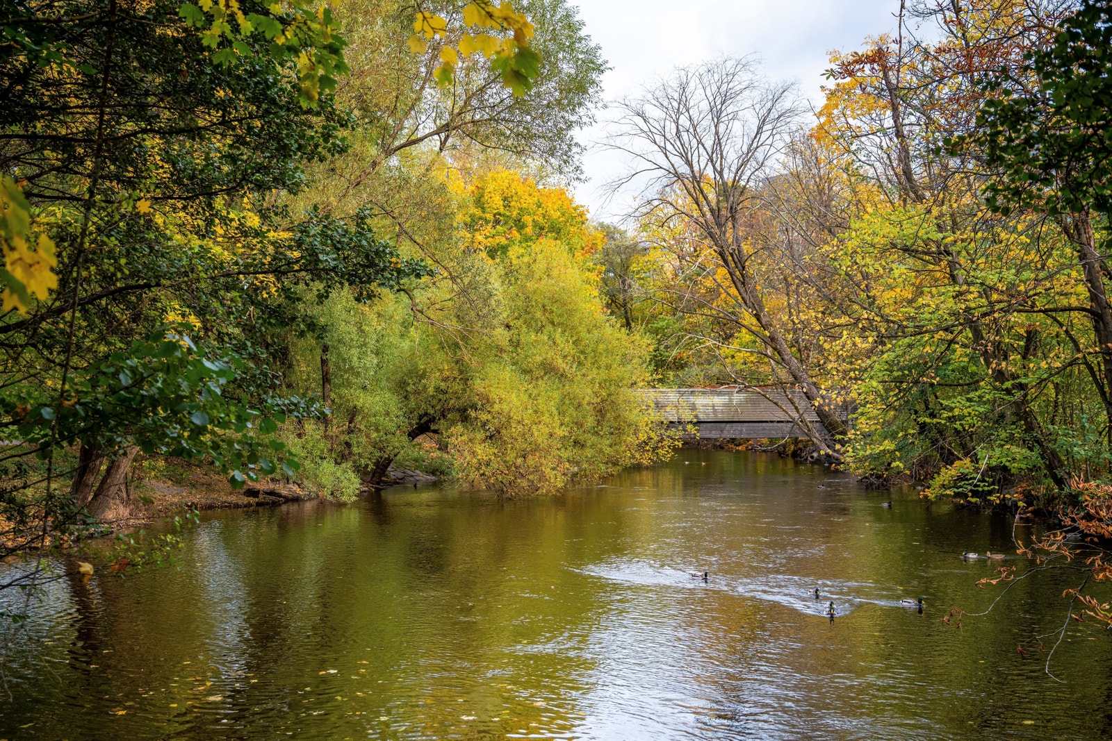 Akerselva med flott turområde Galleribilde
