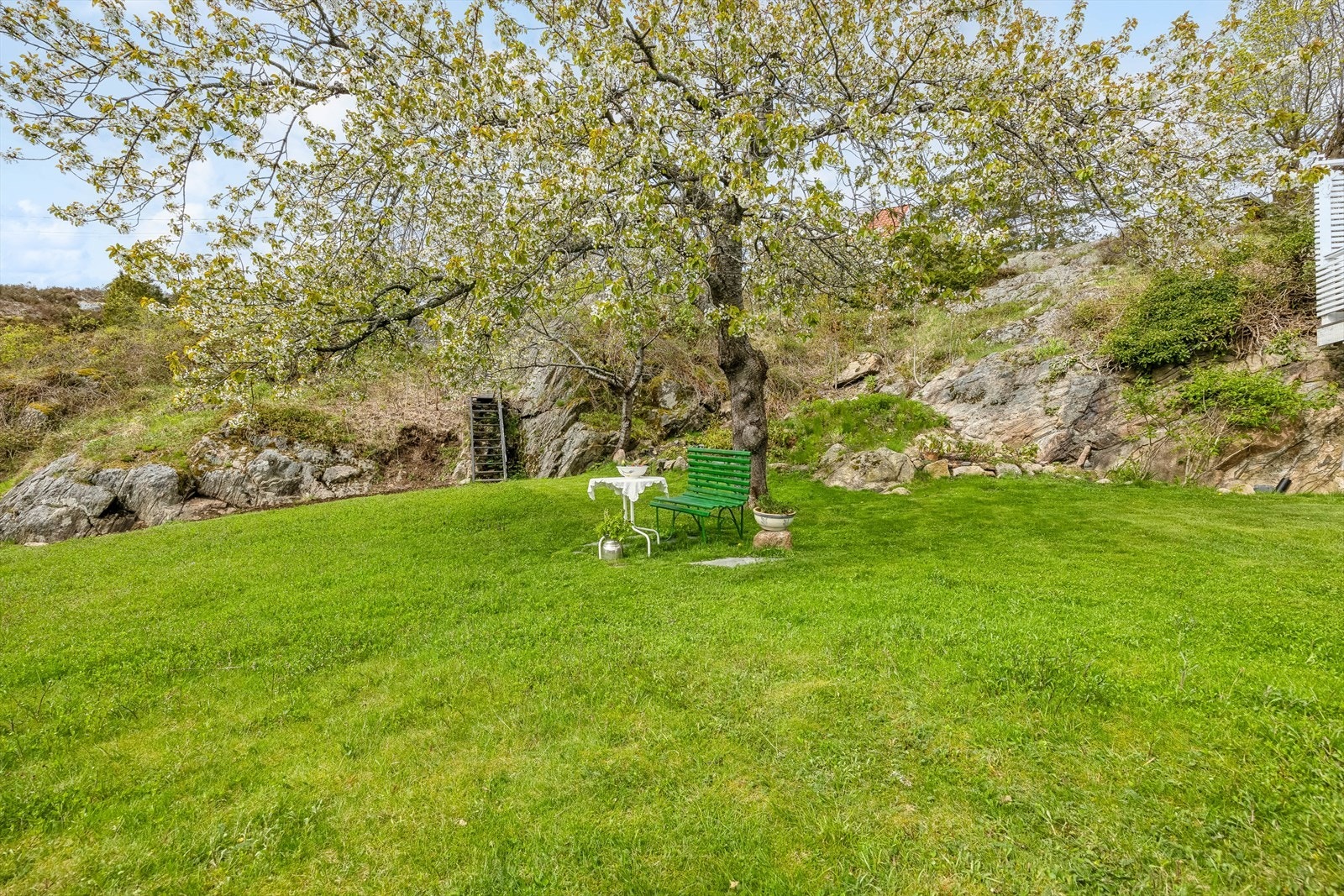 Solrik tomt med generøse plenarealer og vakre fjellformasjoner som strekker seg helt ned til sjøen. Galleribilde