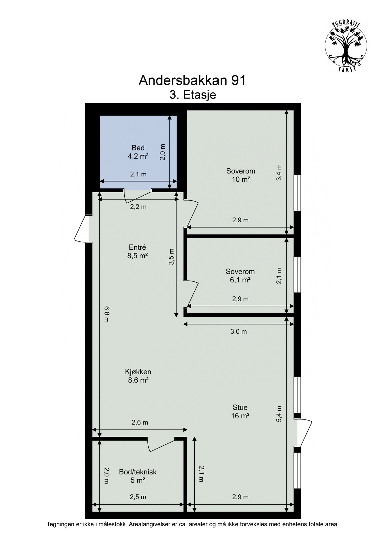 Plankisse. Galleribilde