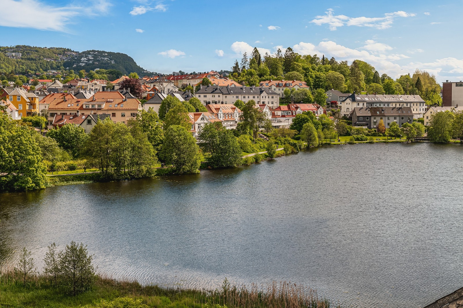 Fra leiligheten kan en legge spaser- eller joggeturen langs strandpromenaden ved Damsgårdssundet, rundt Solheimsvannet, Tveitevannet eller Store Lungegårdsvann. Galleribilde