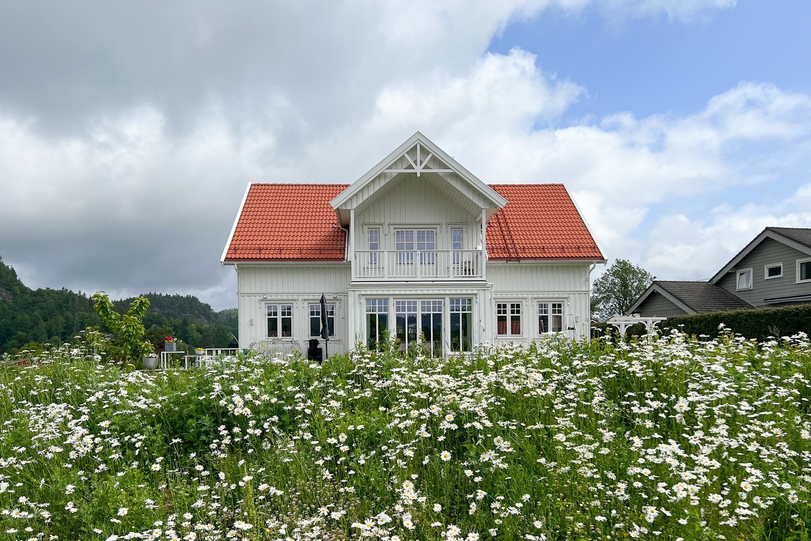 Selgers private sommerbilde Galleribilde