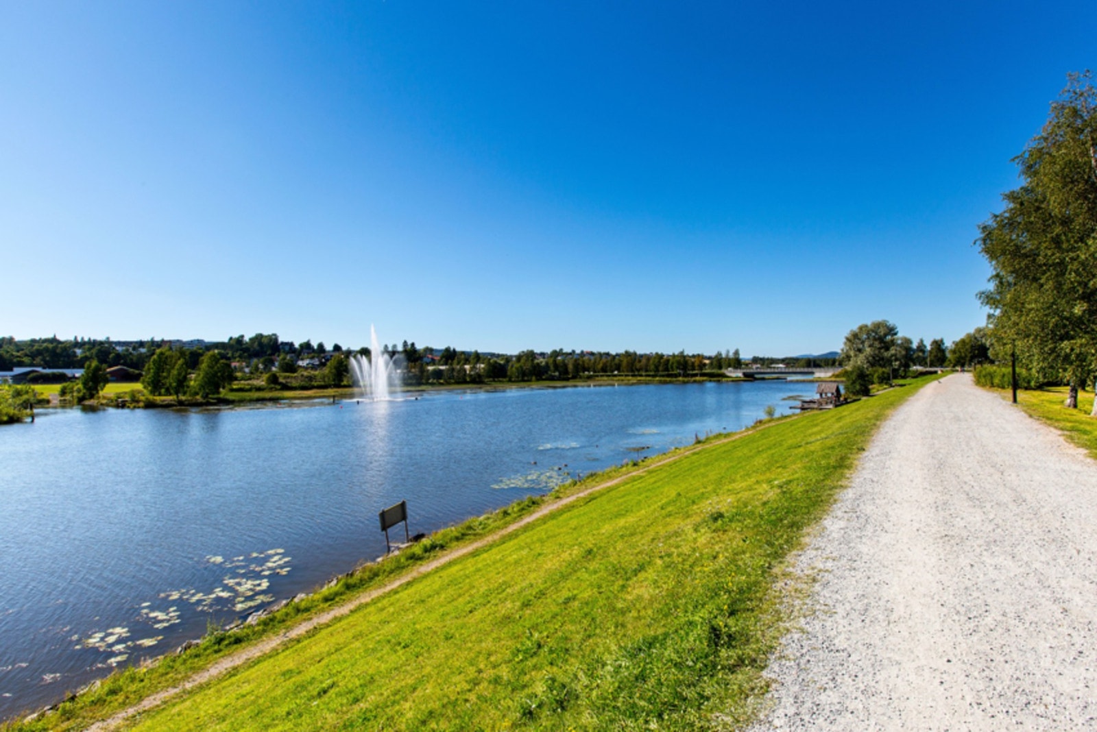 Flotte turmuligheter langs Nitelva. Galleribilde