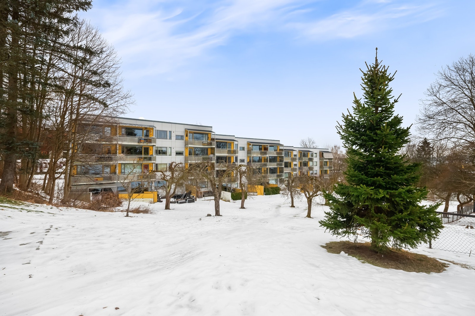 Pent opparbeidede fellesarealer på vestsiden av bygget med stor og grønn hage, beplantet med blant annet epletrær - Utemøbler til fri benyttelse. Galleribilde