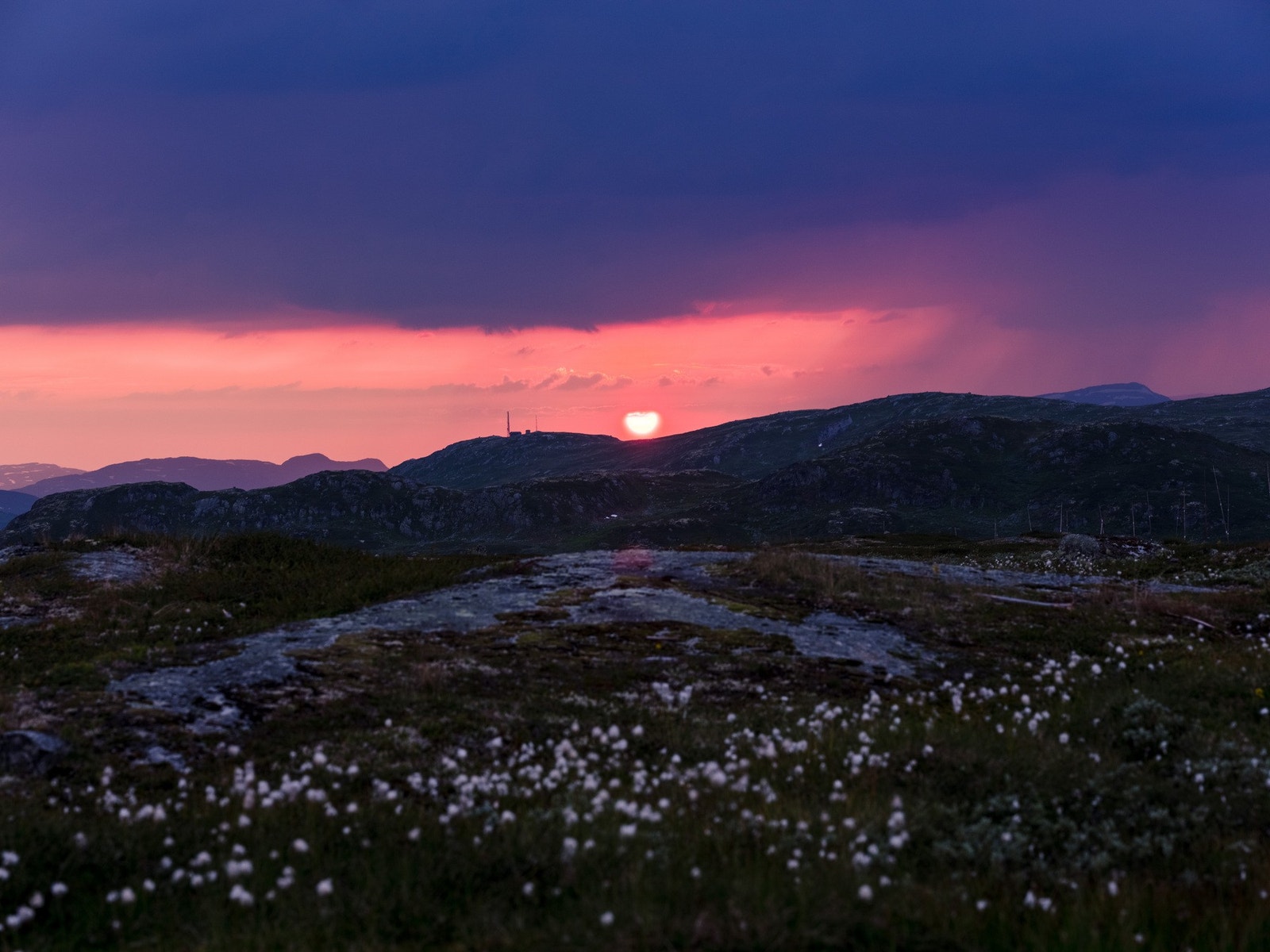 Jakt solnedganger i magiske omgivelser Galleribilde