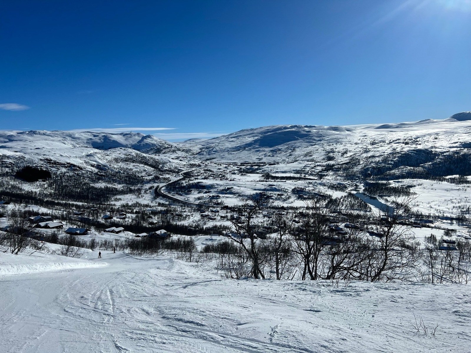 Selgers eget bilde Galleribilde