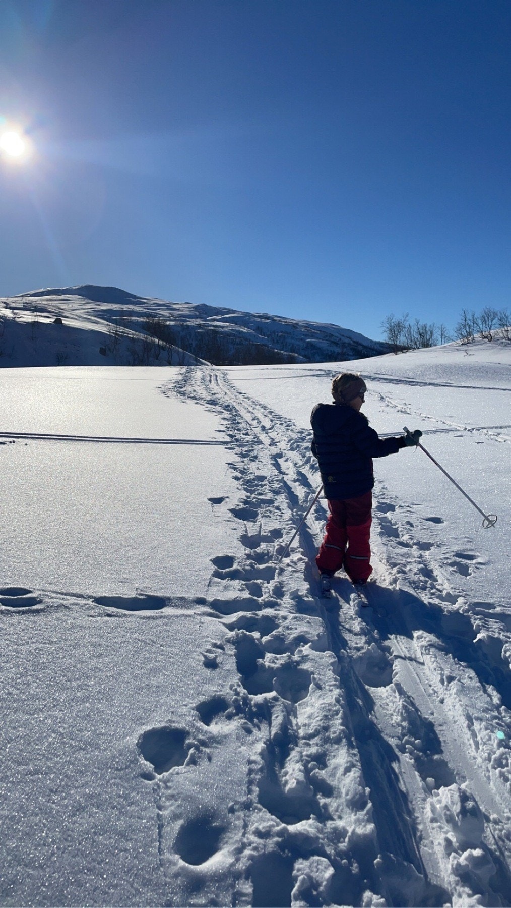 Selgers eget bilde Galleribilde