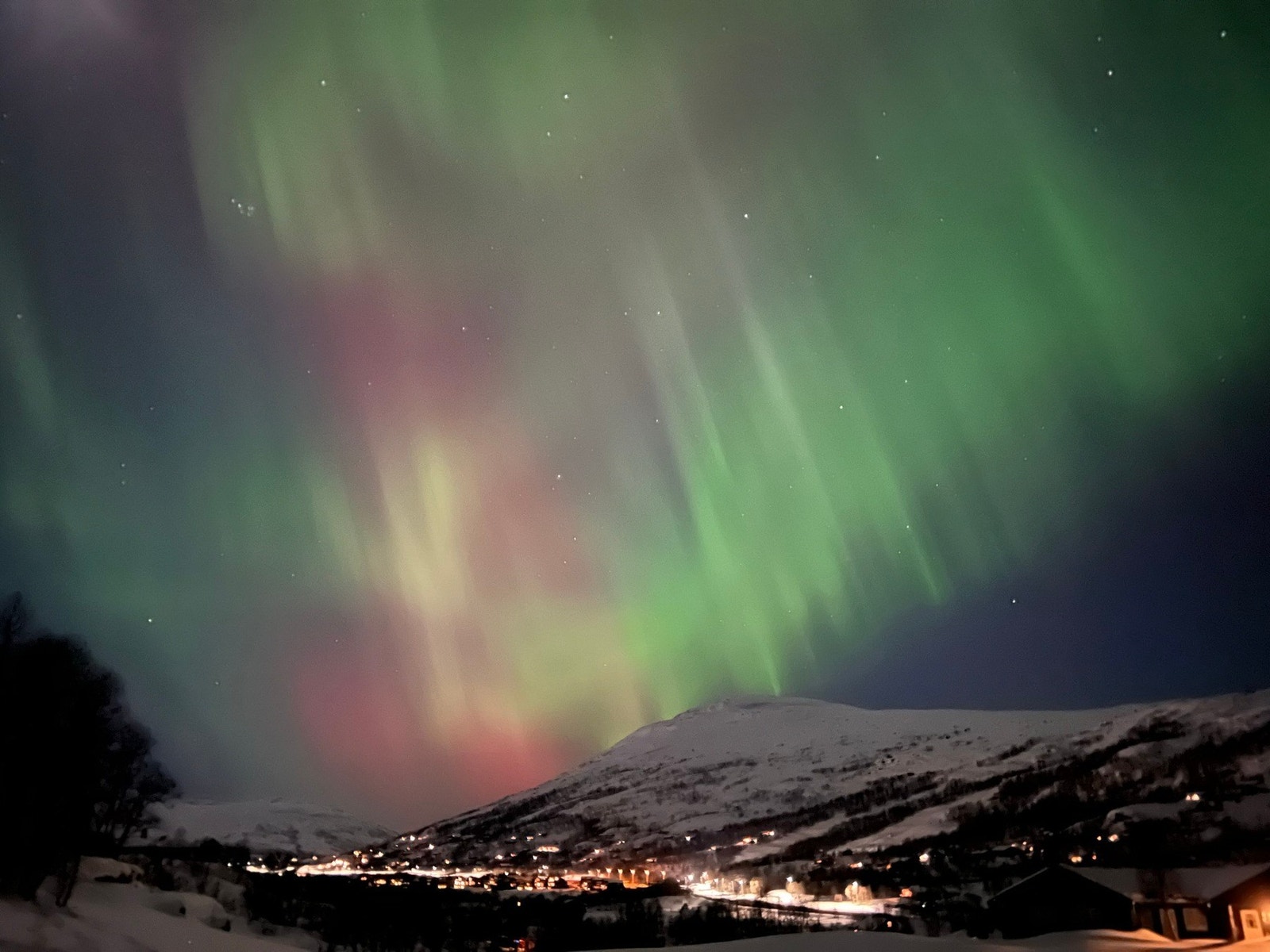 Selgers eget bilde Galleribilde