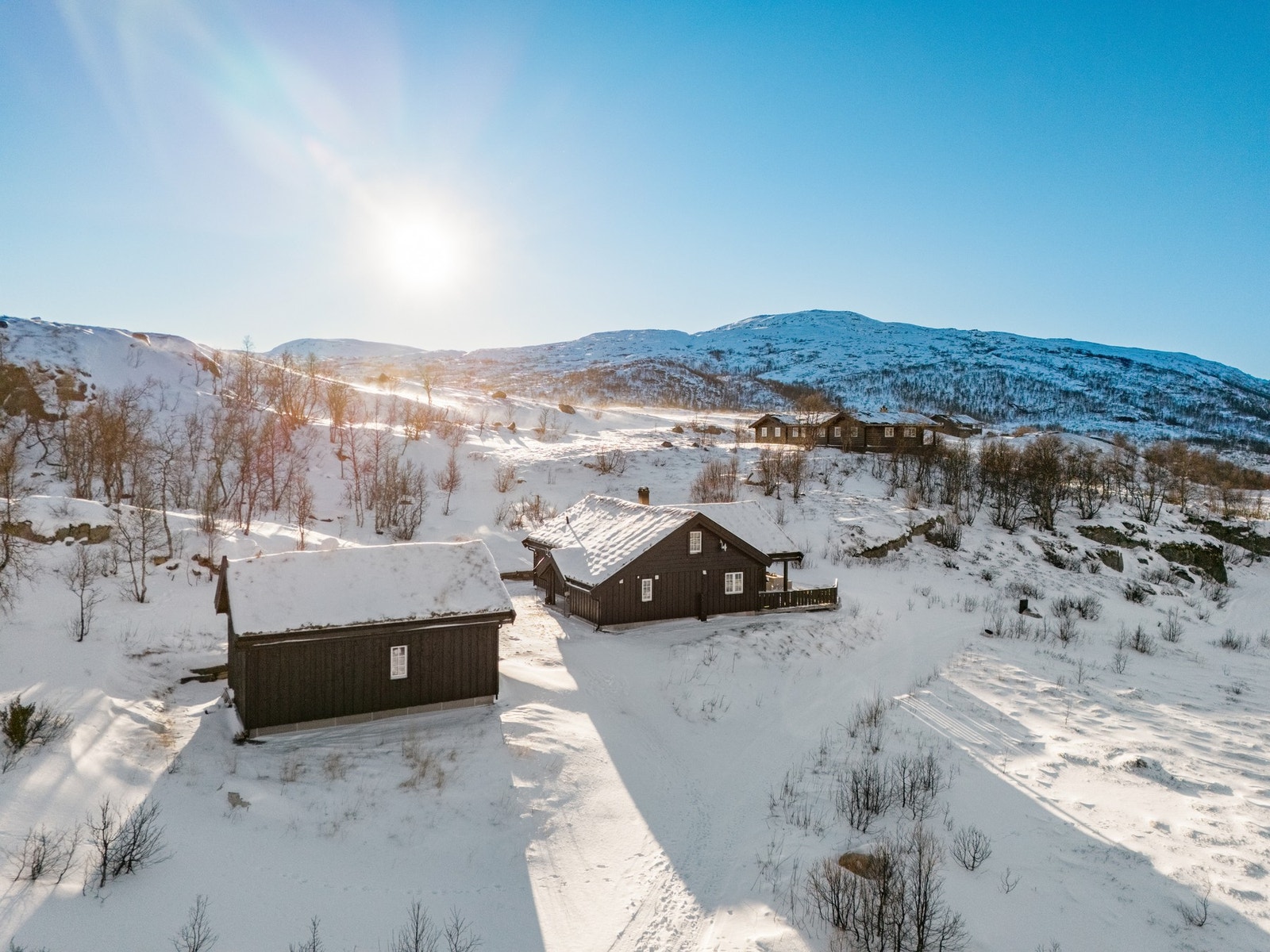Finn roen, i din egen oase på høyfjellet Galleribilde