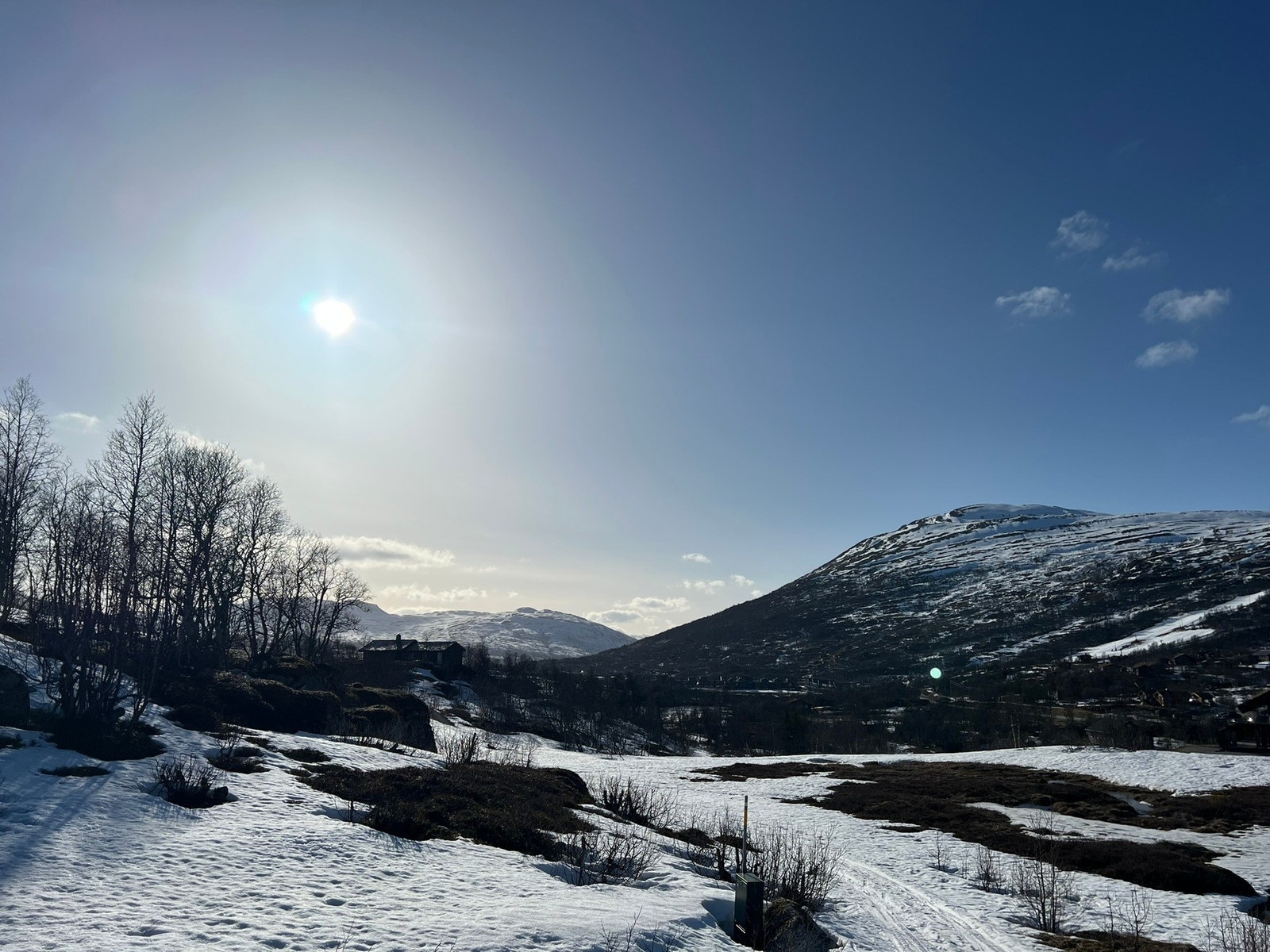 Selgers eget bilde Galleribilde