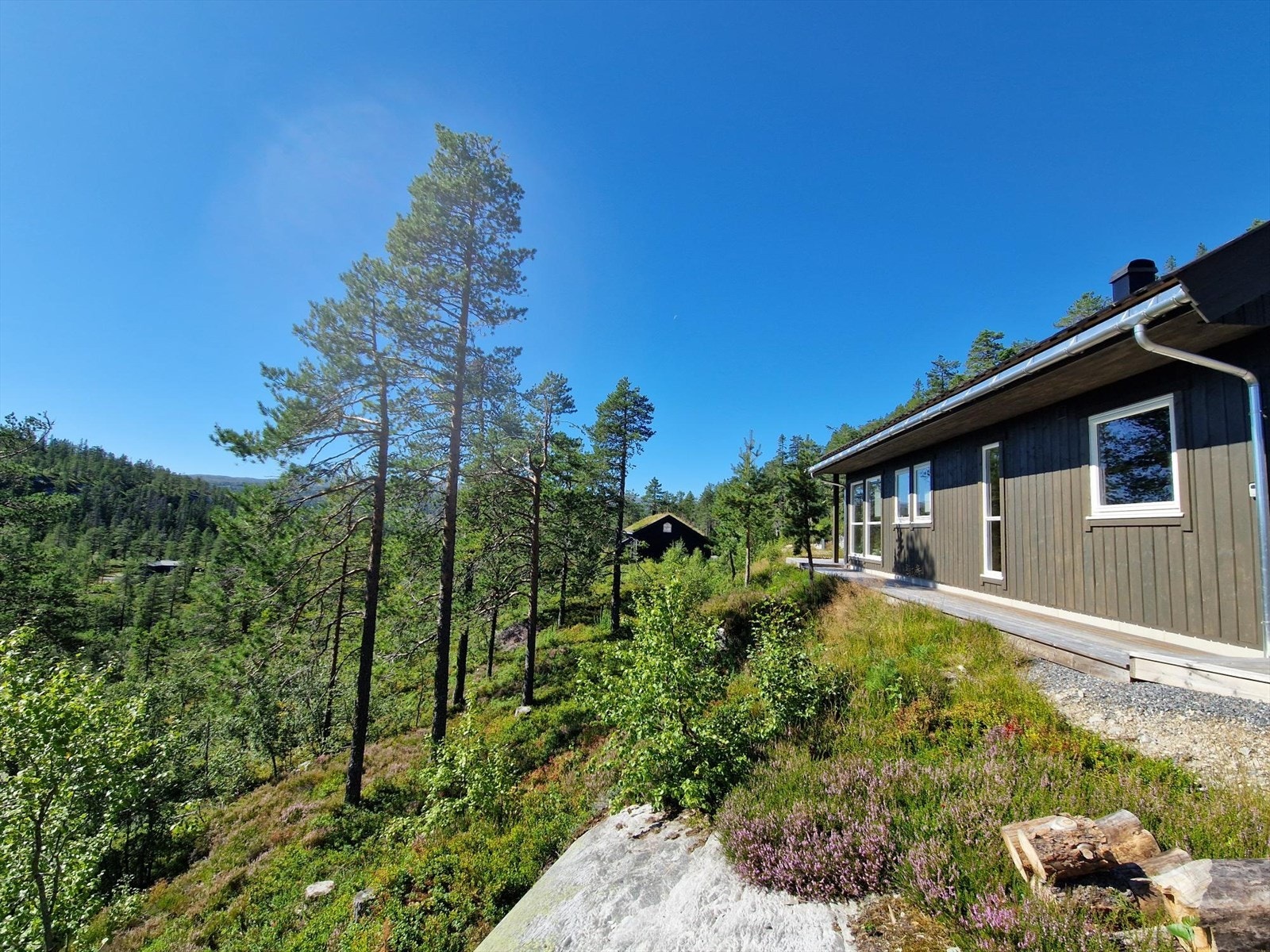 Privat bilde Galleribilde