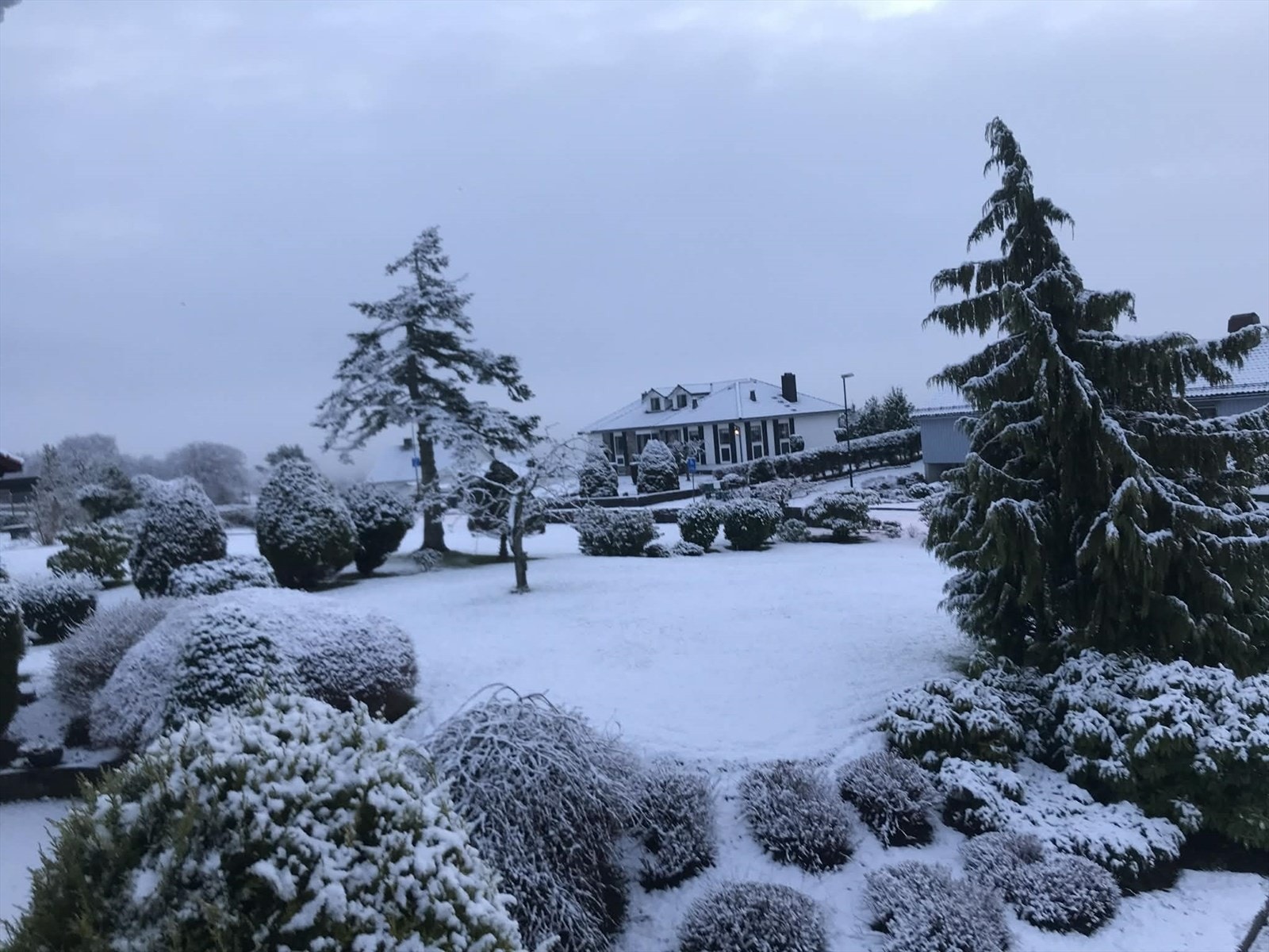 Vinteridyll Galleribilde