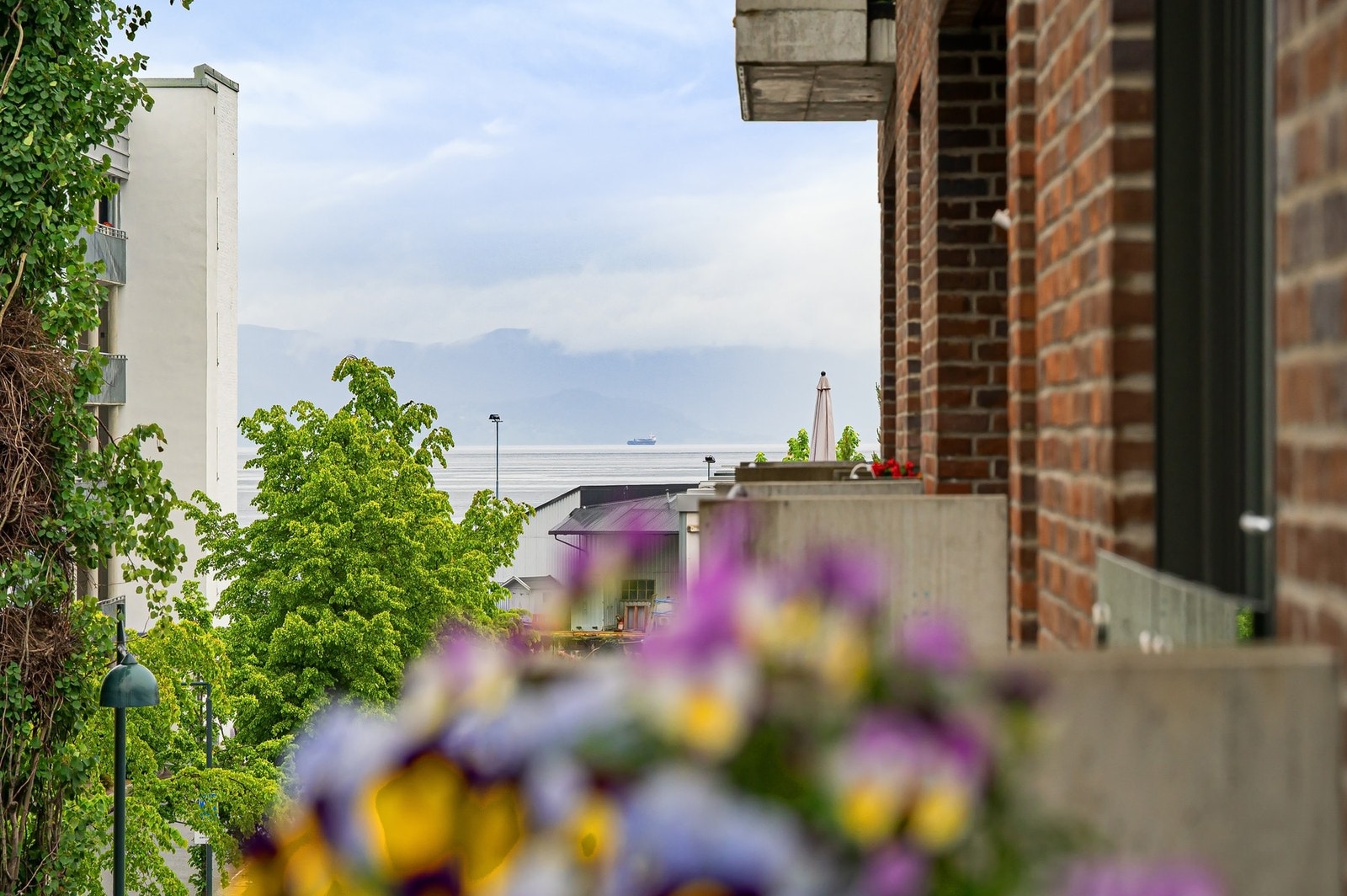 Man har også fjordgløtt. Galleribilde