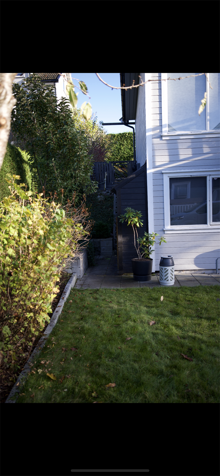 (Selgers bilde). Galleribilde