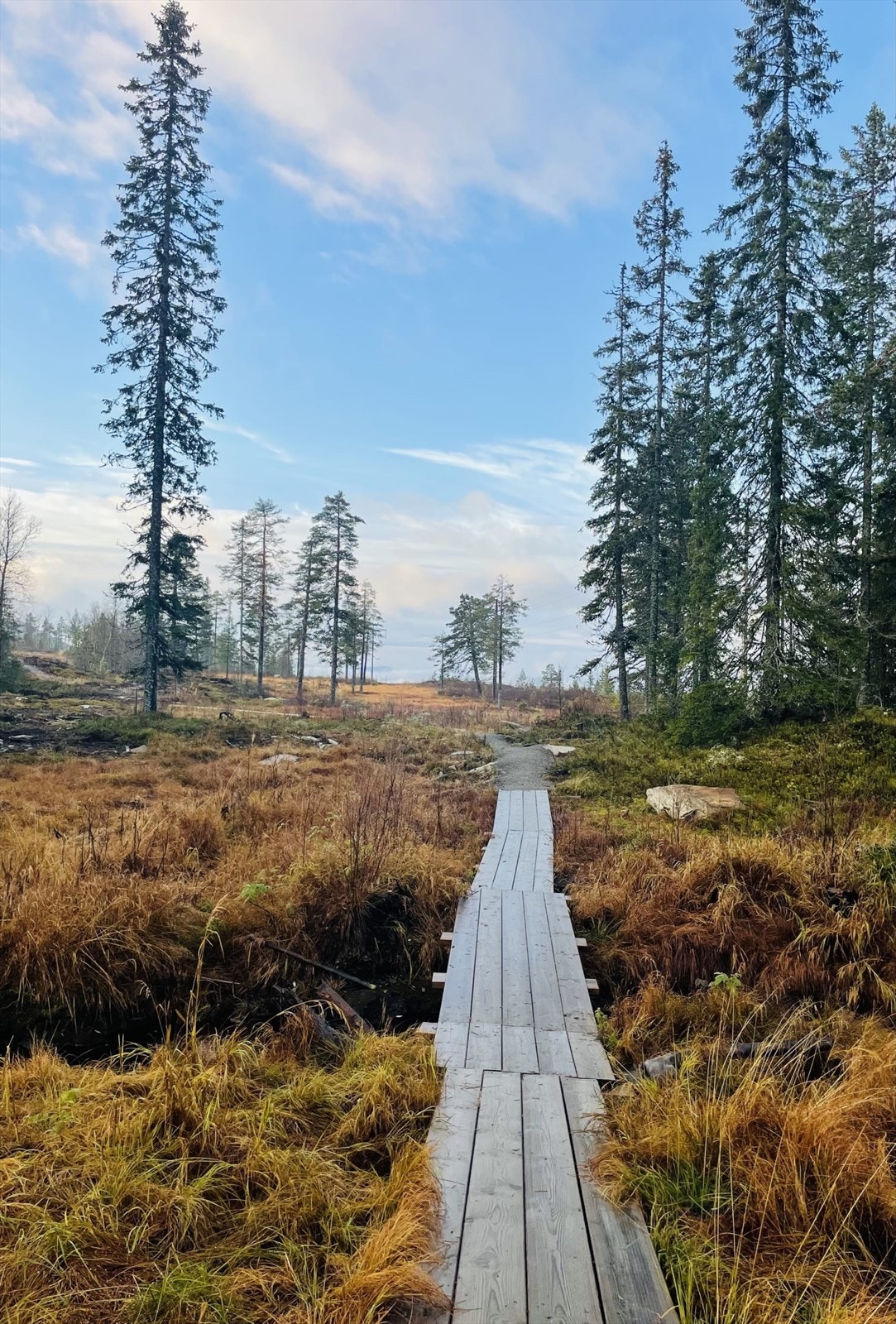 Flotte turmuligheter sommer som vinter. Galleribilde