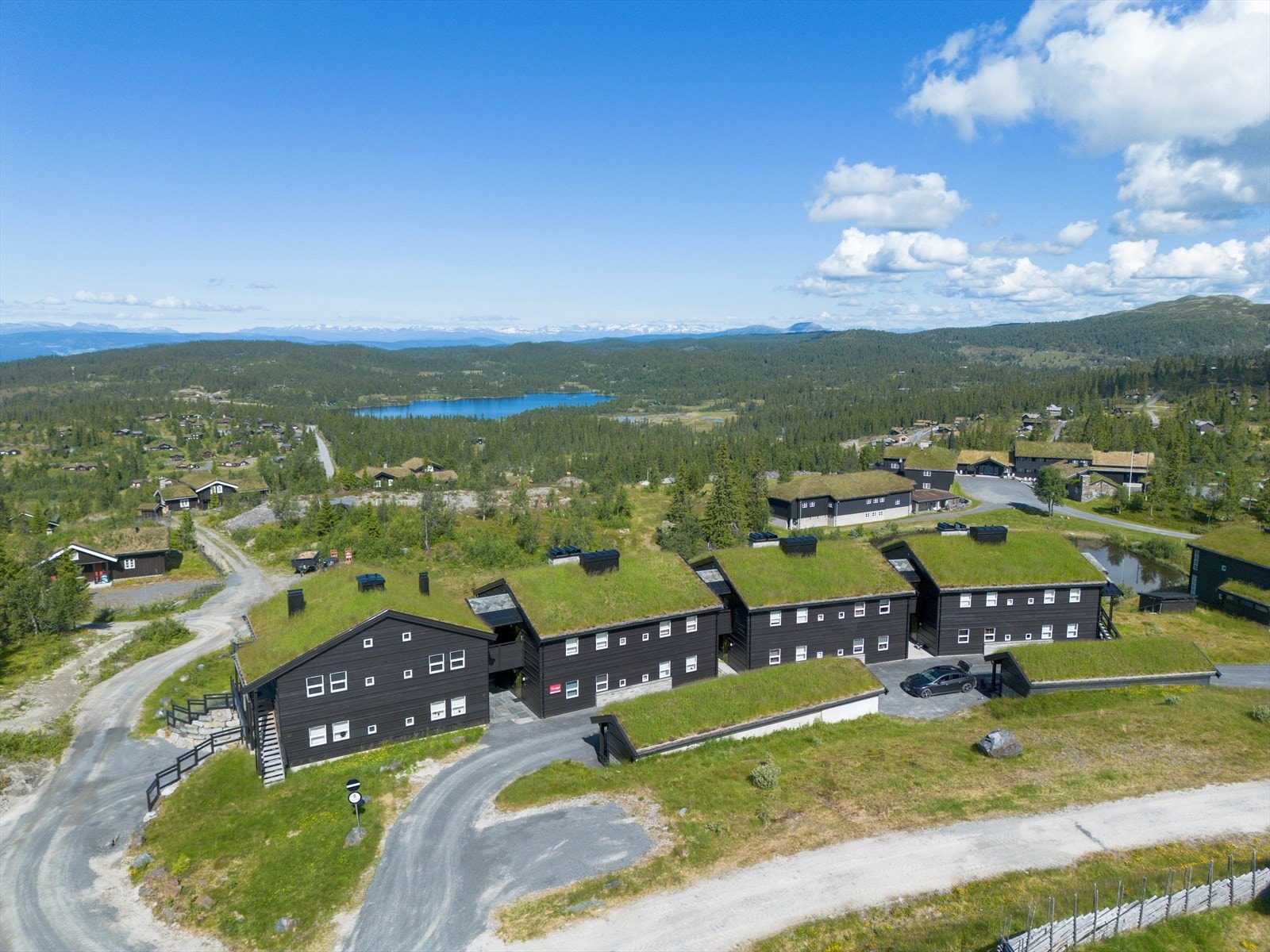 Vi ønsker velkommen til visning! Galleribilde