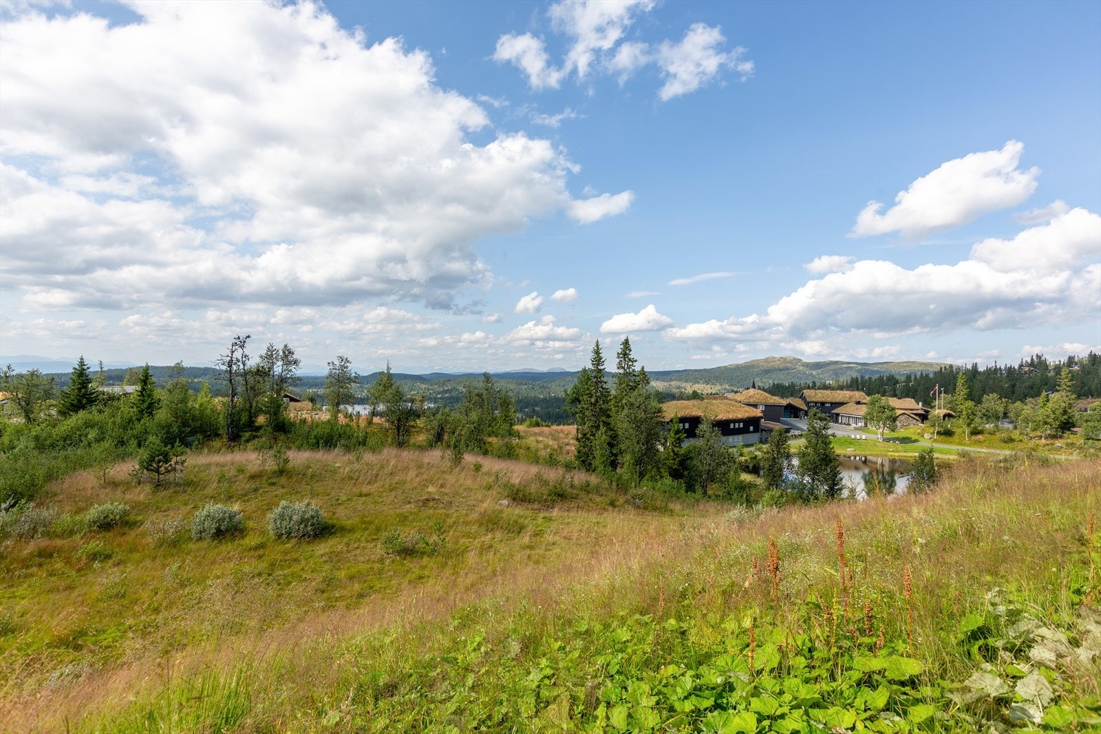 Nær leiligheten finner en Danebu Kongsgaard som er et moderne boutiquehotell med personlig preg, samt unik stil og atmosfære. Hotellet serverer lekre retter med lokale råvarer i hyggelige, historiske omgivelser. Galleribilde