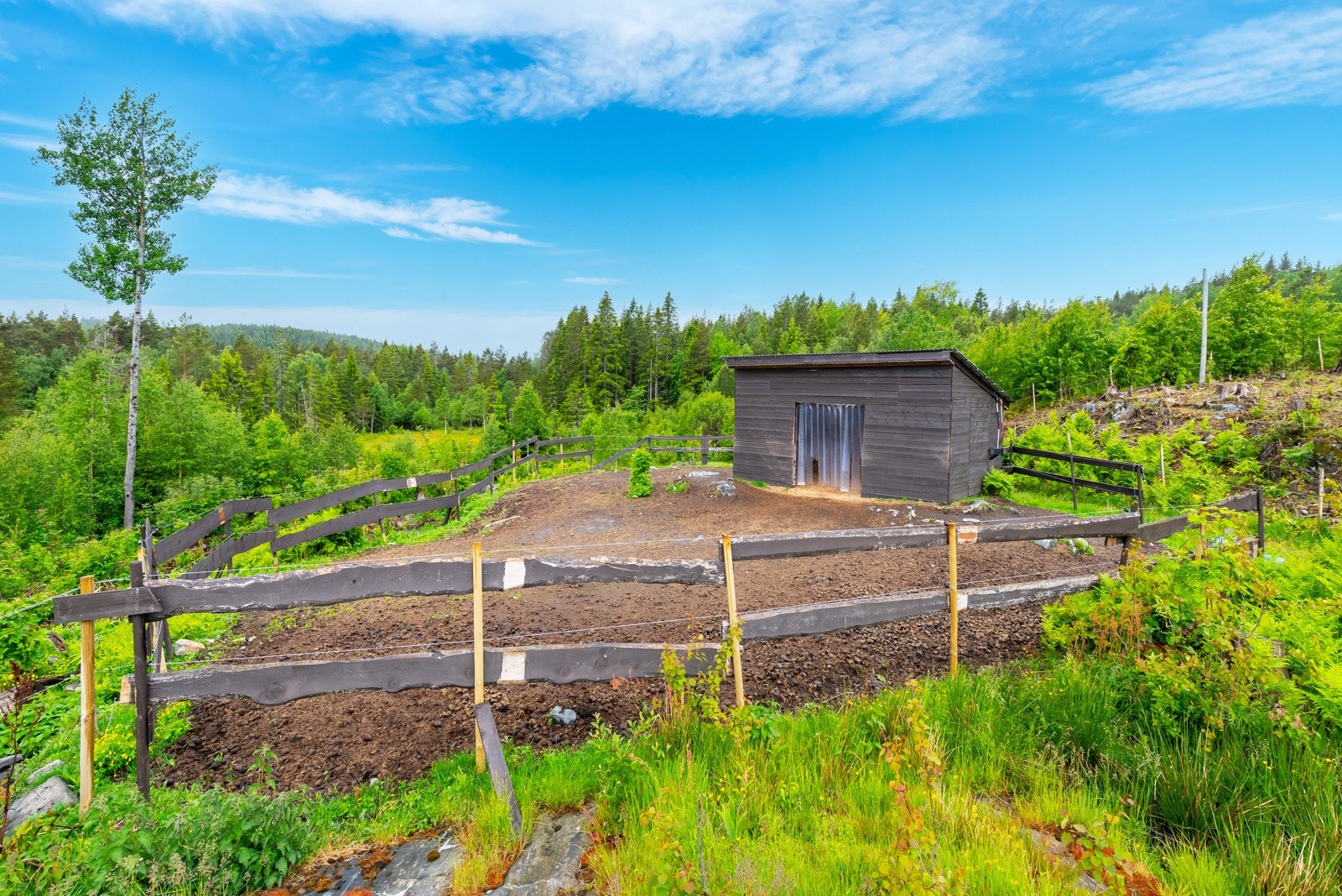Nåværende eier har etablert stall med mulighet for hestehold. Galleribilde